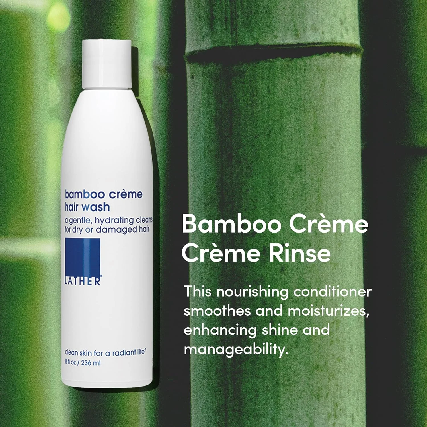نرم کننده کرمی بامبو LATHER - آبرسانی پوست سر برای موهای خشک یا آسیب دیده - فرمول سبک و غیر چرب - نرم کننده ملایم روزانه برای باز کردن گره موهای خشک - بدون سولفات - بطری 236 میلی لیتری