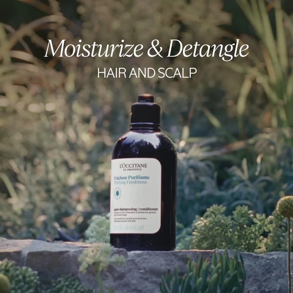 نرم کننده طراوت بخش و پاک کننده مو، حجم 500 میلی لیتر - بسته دوباره پر کردنی نرم کننده طراوت بخش و پاک کننده مو، حجم 500 میلی لیتر - بسته دوباره پر کردنی