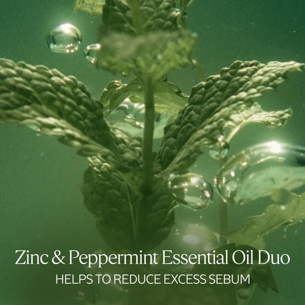 نرم کننده طراوت بخش و پاک کننده مو، حجم 500 میلی لیتر - بسته دوباره پر کردنی نرم کننده طراوت بخش و پاک کننده مو، حجم 500 میلی لیتر - بسته دوباره پر کردنی