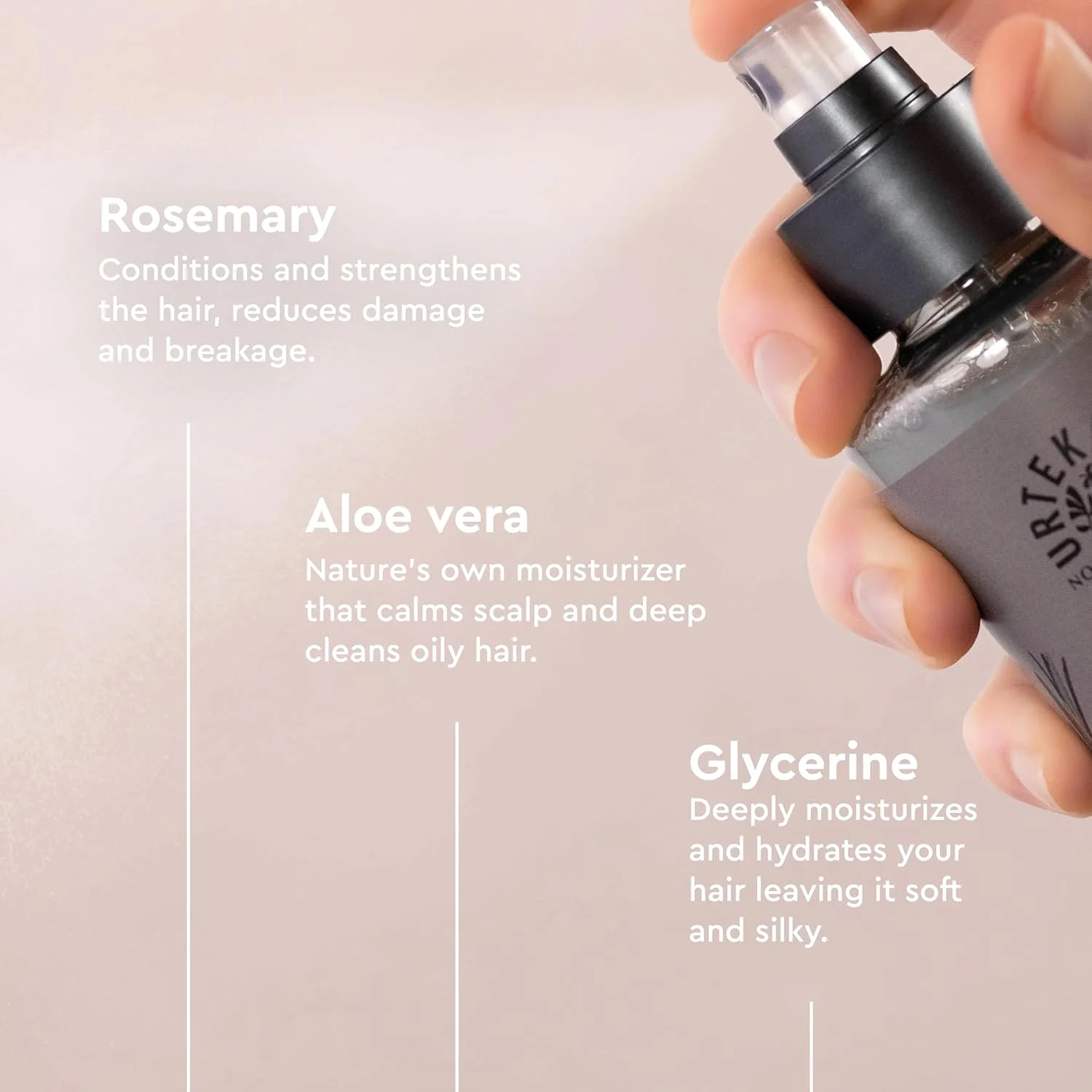 نرم کننده اسپری موهای نازک اورتکرام، رزماری، 250 میلی لیتر نرم کننده اسپری موهای نازک اورتکرام، رزماری، 250 میلی لیتر