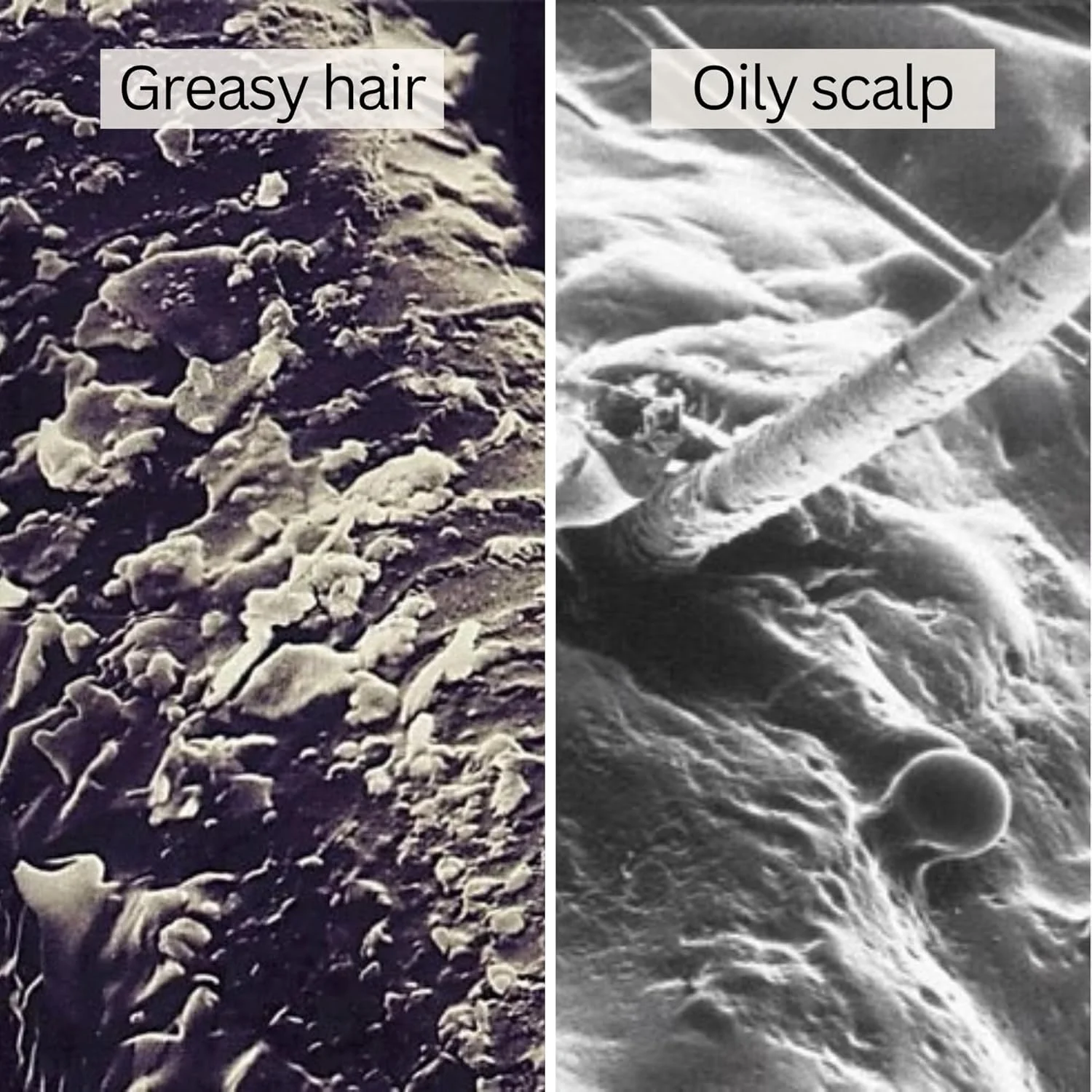 نرم کننده موی سر چرب جلبک دریایی راوش 200 میلی لیتر نرم کننده موی سر چرب جلبک دریایی راوش 200 میلی لیتر