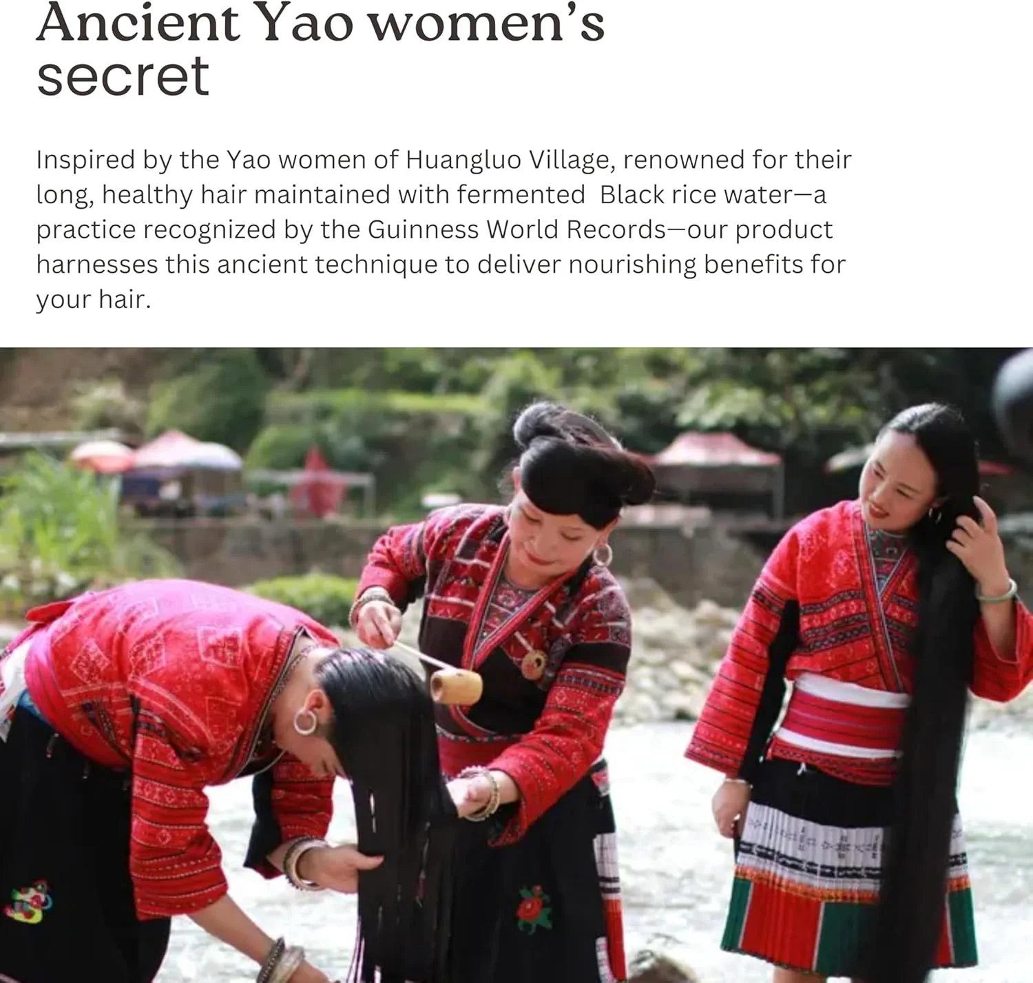 نرم کننده آب برنج سیاه ButterCo. مناسب برای انواع مو - 200 میلی لیتر | ضد شوره، کاهش موخوره با محافظت 3 برابر در برابر آسیب، فرموله شده با برنج سیاه تخمیر شده، شی باتر، روغن جوجوبا نرم کننده آب برنج سیاه ButterCo. مناسب برای انواع مو - 200 میلی لیتر | ضد شوره، کاهش موخوره با محافظت 3 برابر در برابر آسیب، فرموله شده با برنج سیاه تخمیر شده، شی باتر، روغن جوجوبا