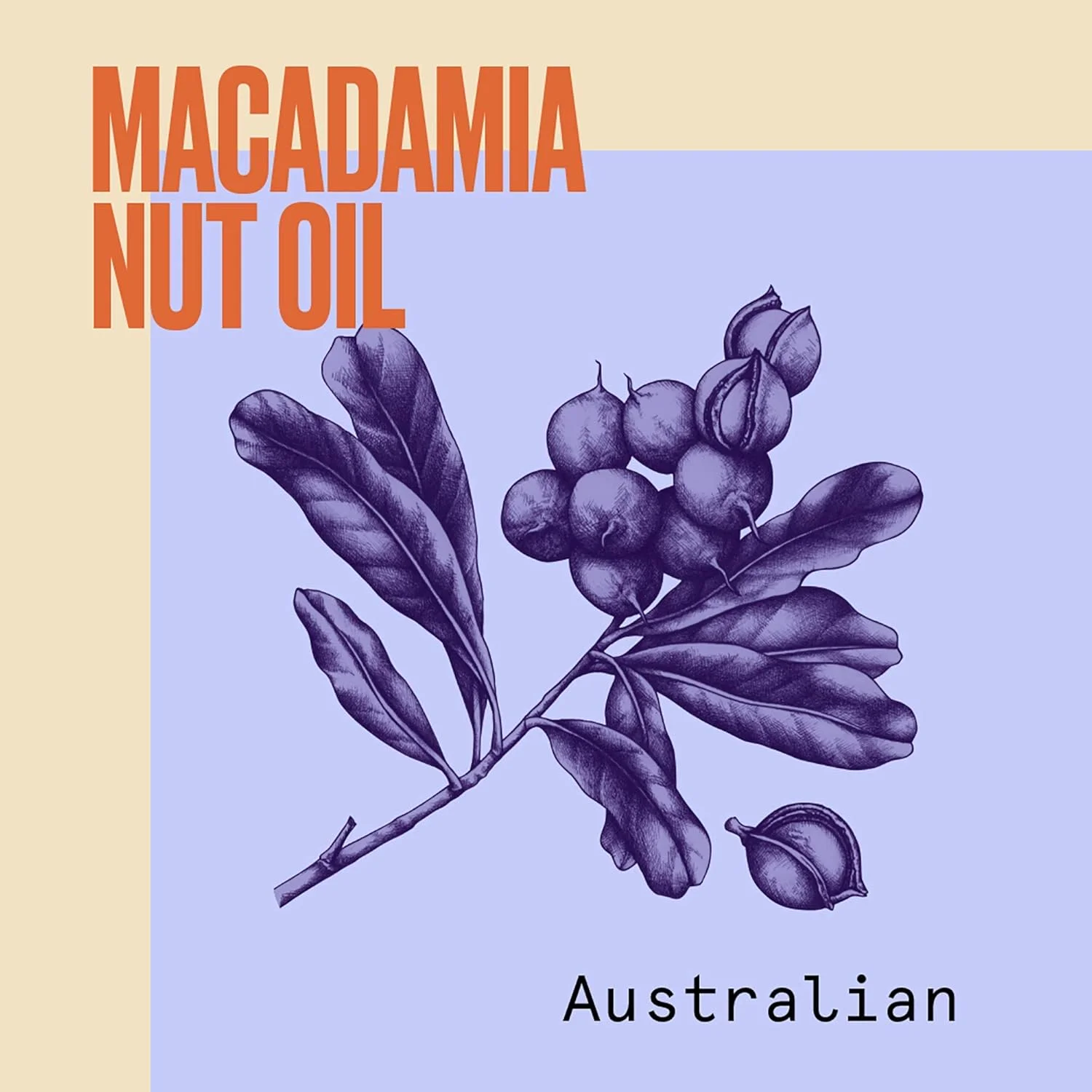 نرم کننده موی آسیب دیده Aussie Repair Miracle حاوی روغن دانه جوجوبا 200 میلی لیتر نرم کننده موی آسیب دیده Aussie Repair Miracle حاوی روغن دانه جوجوبا 200 میلی لیتر