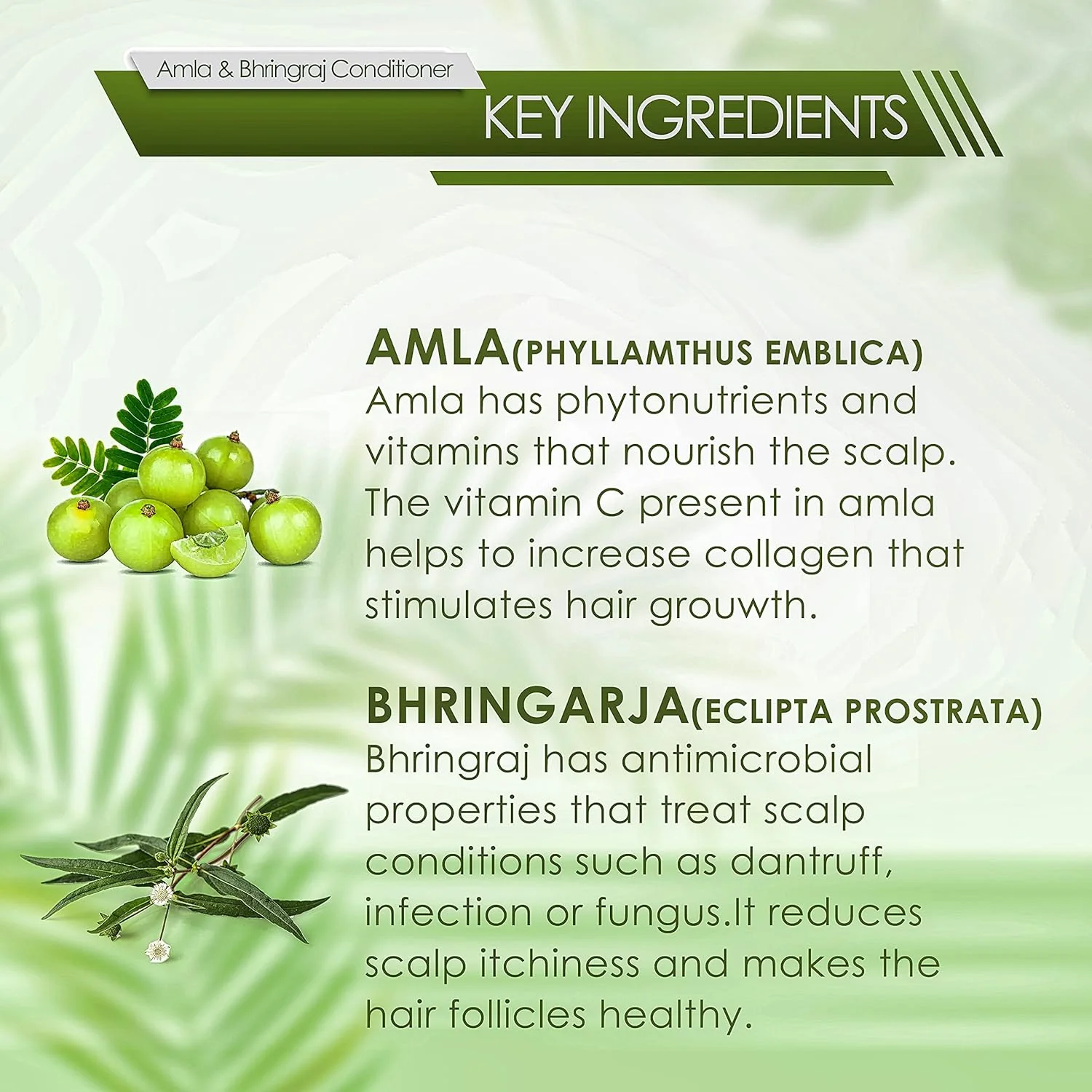 نرم کننده موی گیاهی آیورودا آمله و برینگراج خادی بای وداز رمدیز برای جلوگیری از ریزش مو 200 میلی لیتر | نرم کننده مو برای زنان و مردان برای محافظت 5 برابر، ترمیم موهای آسیب دیده، مواد طبیعی نرم کننده موی گیاهی آیورودا آمله و برینگراج خادی بای وداز رمدیز برای جلوگیری از ریزش مو 200 میلی لیتر | نرم کننده مو برای زنان و مردان برای محافظت 5 برابر، ترمیم موهای آسیب دیده، مواد طبیعی