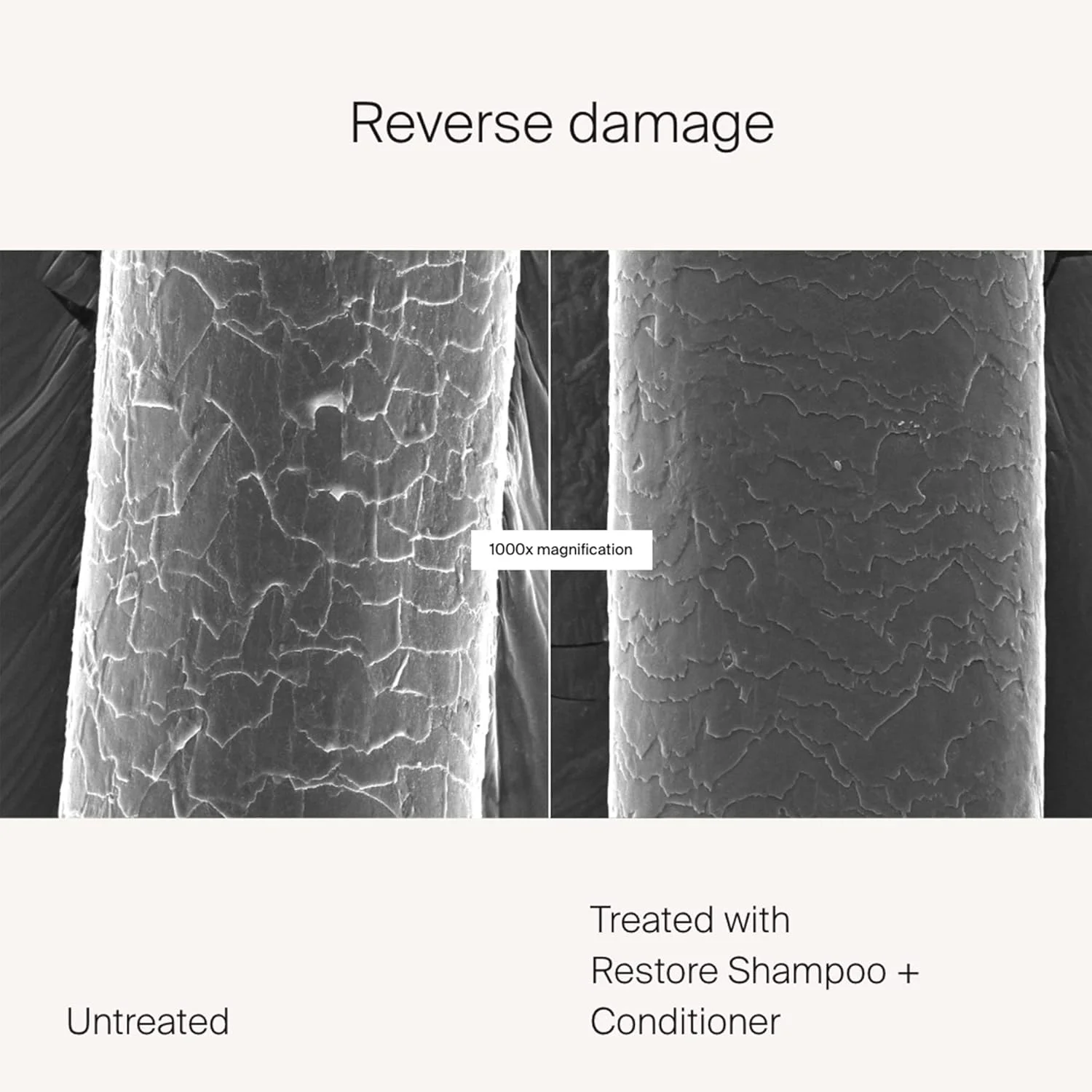 نرم کننده ترمیم کننده مو لیوینگ پروف 236 میلی لیتر | ترمیم کننده آسیب دیدگی مو | فاقد سیلیکون | فاقد پارابن | وگان
