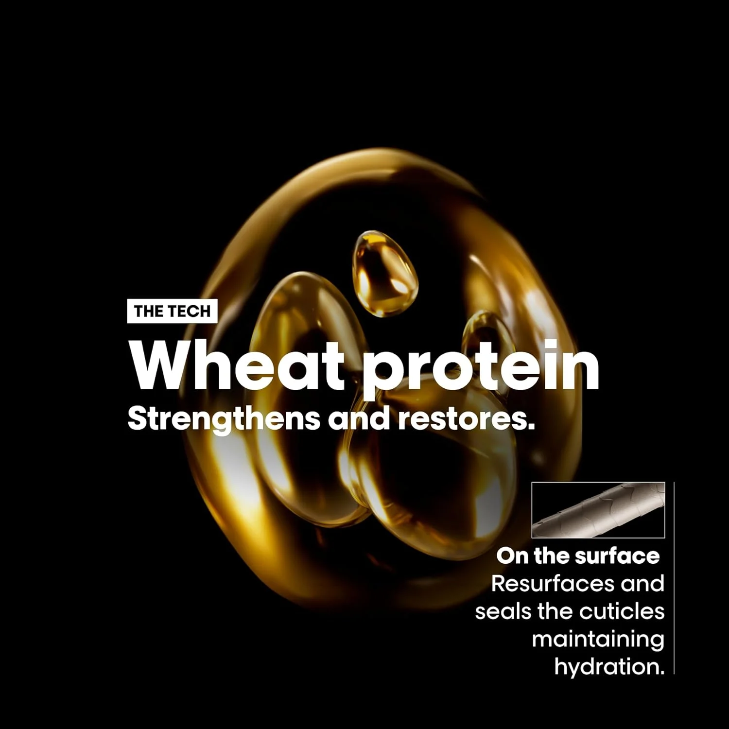 لورآل پروفشنال | نرم کننده ترمیم کننده مطلق | برای موهای خشک و آسیب دیده | ترمیم و آبرسانی موهای خشک و آسیب دیده | حاوی کینوا طلایی و پروتئین | سری اکسپرت | 200 میلی لیتر لورآل پروفشنال | نرم کننده ترمیم کننده مطلق | برای موهای خشک و آسیب دیده | ترمیم و آبرسانی موهای خشک و آسیب دیده | حاوی کینوا طلایی و پروتئین | سری اکسپرت | 200 میلی لیتر