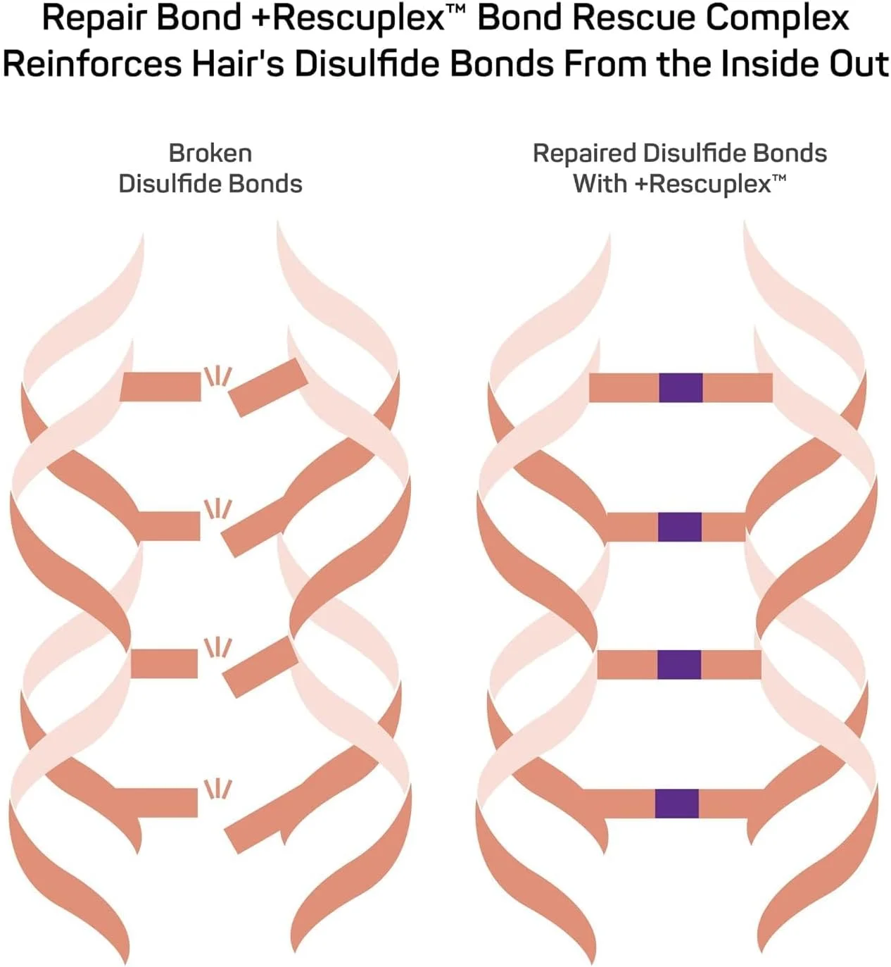 نرم کننده ترمیم کننده پیوند مو مارک آنتونی - ترمیم، تقویت و حفظ پیوندهای داخل مو - از بین برنده وز، موخوره و کاهش شکستگی مو - درمان حرفه ای موهای خشک و آسیب دیده
