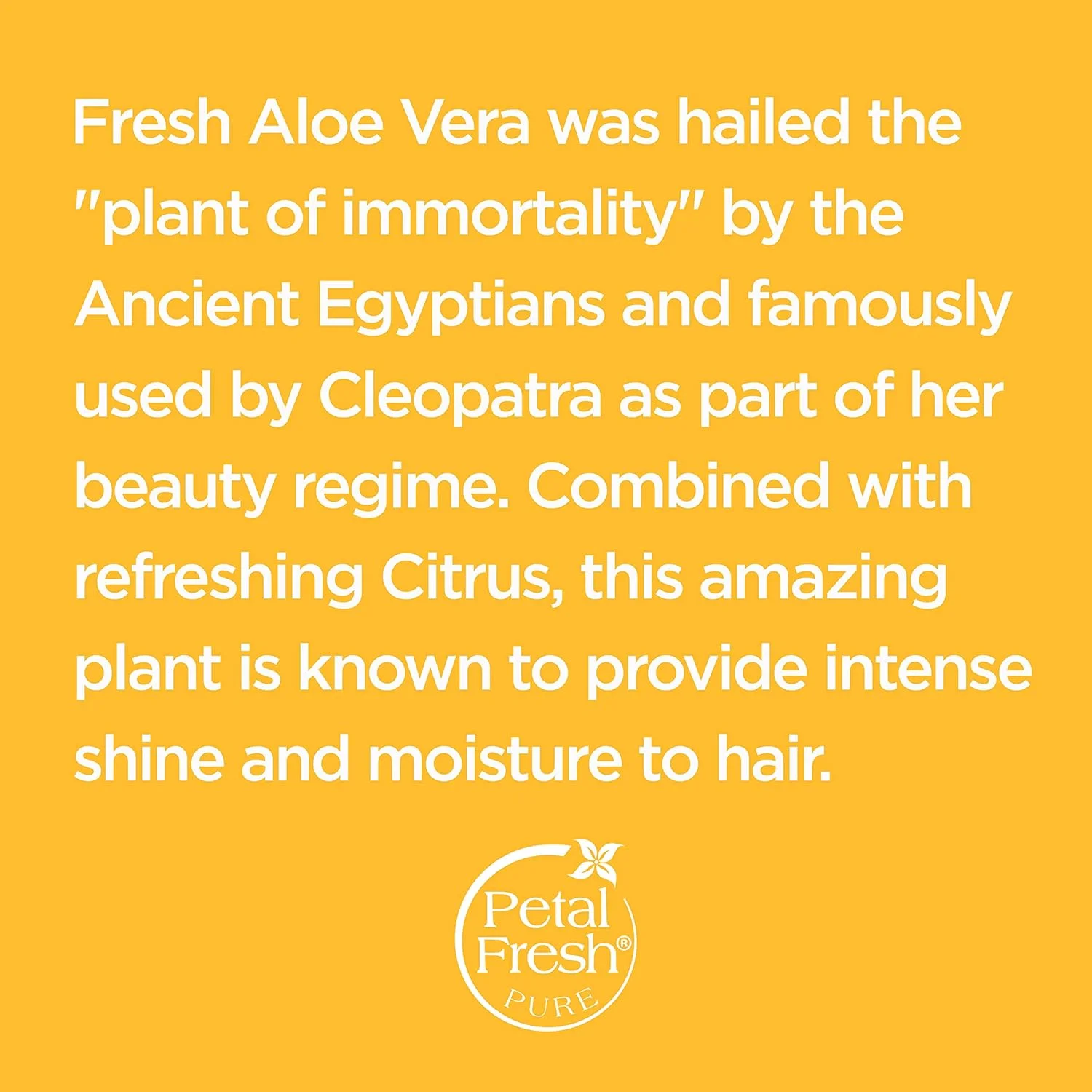 نرم کننده مو پتال فرش آلوئه و مرکبات مناسب انواع مو، 500 میلی لیتر