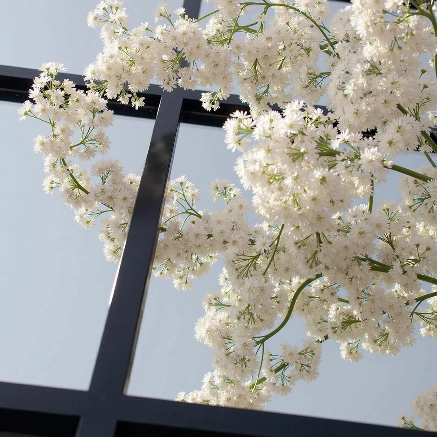 آینه دیواری مستطیلی Dewfig طرح پنجره، 78x119 سانتی متر، آینه دکوراتیو دیواری با قاب فلزی طرح پنجره، آینه بزرگ مشکی برای اتاق خواب، اتاق نشیمن، شومینه، ورودی، قابل آویزان کردن یا تکیه دادن به دیوار، مشکی آینه دیواری مستطیلی Dewfig طرح پنجره، 78x119 سانتی متر، آینه دکوراتیو دیواری با قاب فلزی طرح پنجره، آینه بزرگ مشکی برای اتاق خواب، اتاق نشیمن، شومینه، ورودی، قابل آویزان کردن یا تکیه دادن به دیوار، مشکی