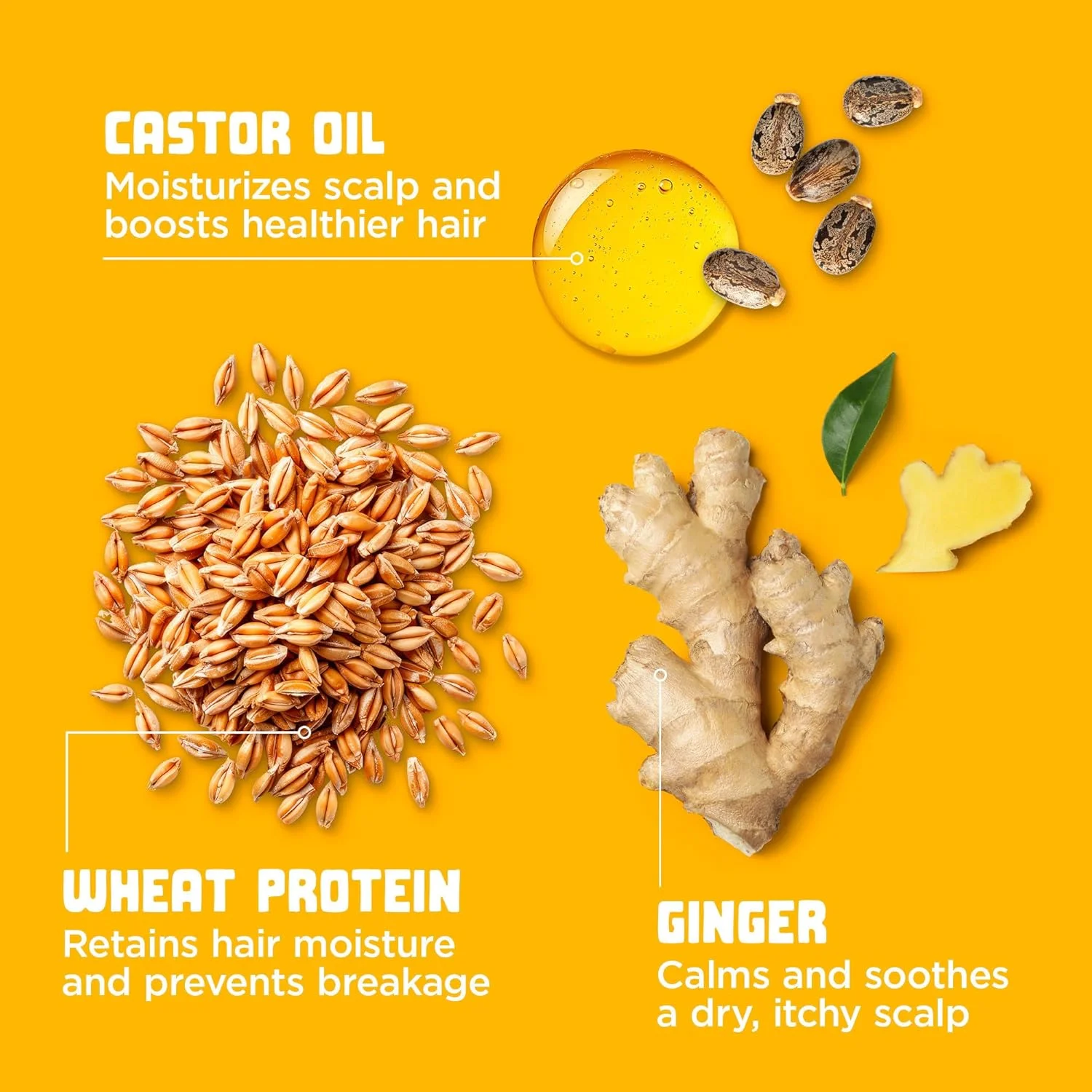 ماسک موی آبرسان و ترمیم کننده Goddess Strength Carol's Daughter، مناسب موهای موج دار، فر و مجعد، درمان مو با روغن کرچک برای موهای ضعیف، 340 گرم ماسک موی آبرسان و ترمیم کننده Goddess Strength Carol's Daughter، مناسب موهای موج دار، فر و مجعد، درمان مو با روغن کرچک برای موهای ضعیف، 340 گرم