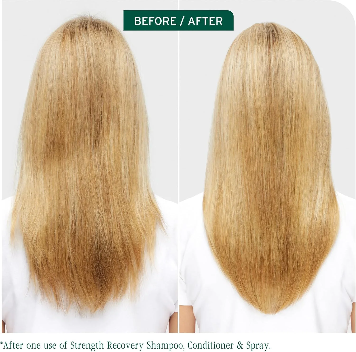 کرم نرم کننده موهای آسیب دیده Biolage Strength Recovery کرم نرم کننده موهای آسیب دیده Biolage Strength Recovery