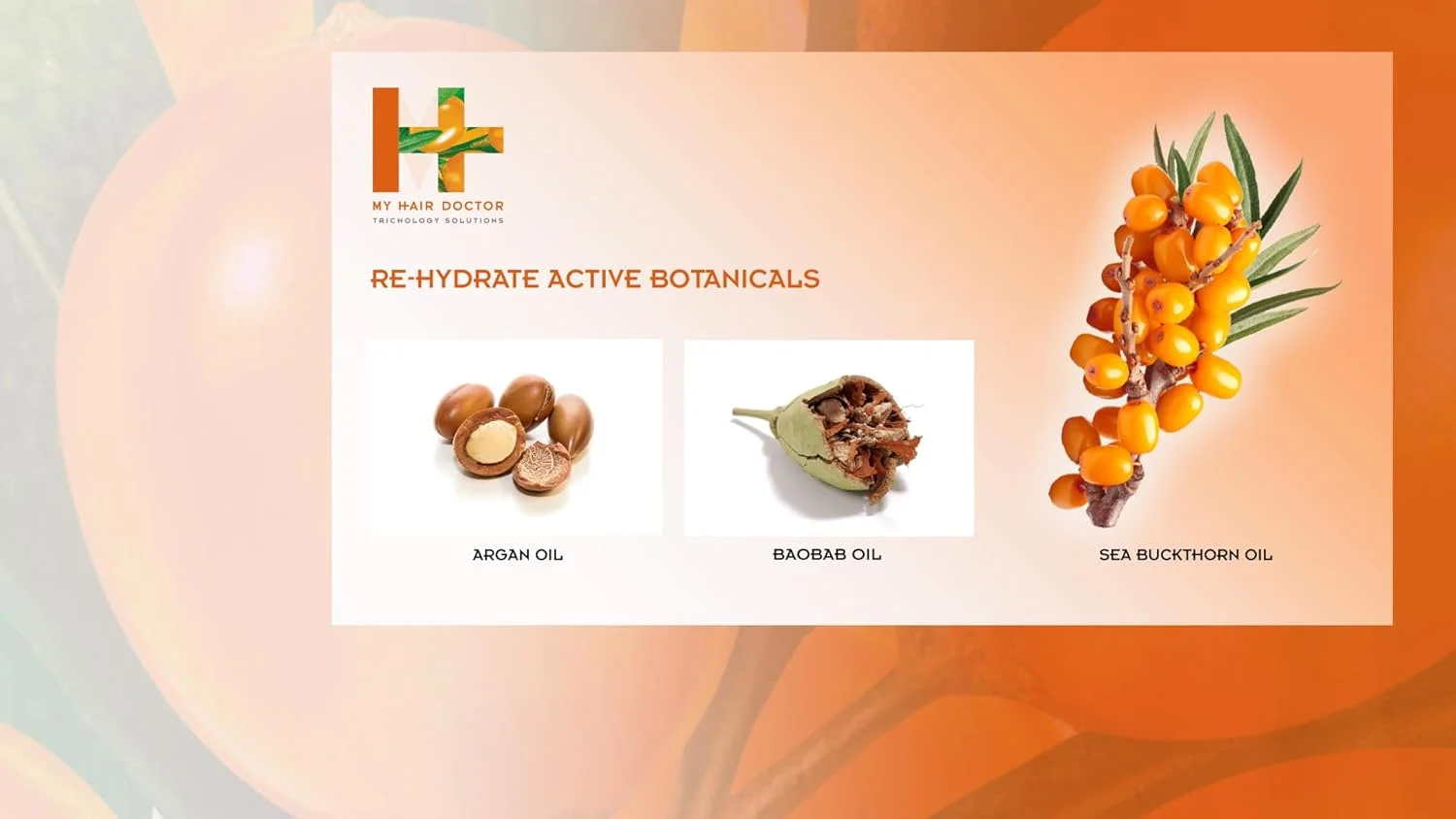 نرم کننده موی سر دکتر من، احیا کننده و بازسازی کننده روغن آرگان، آبرسان مجدد برای موهای خشک و آسیب دیده | مناسب برای گیاهخواران 200 میلی لیتر