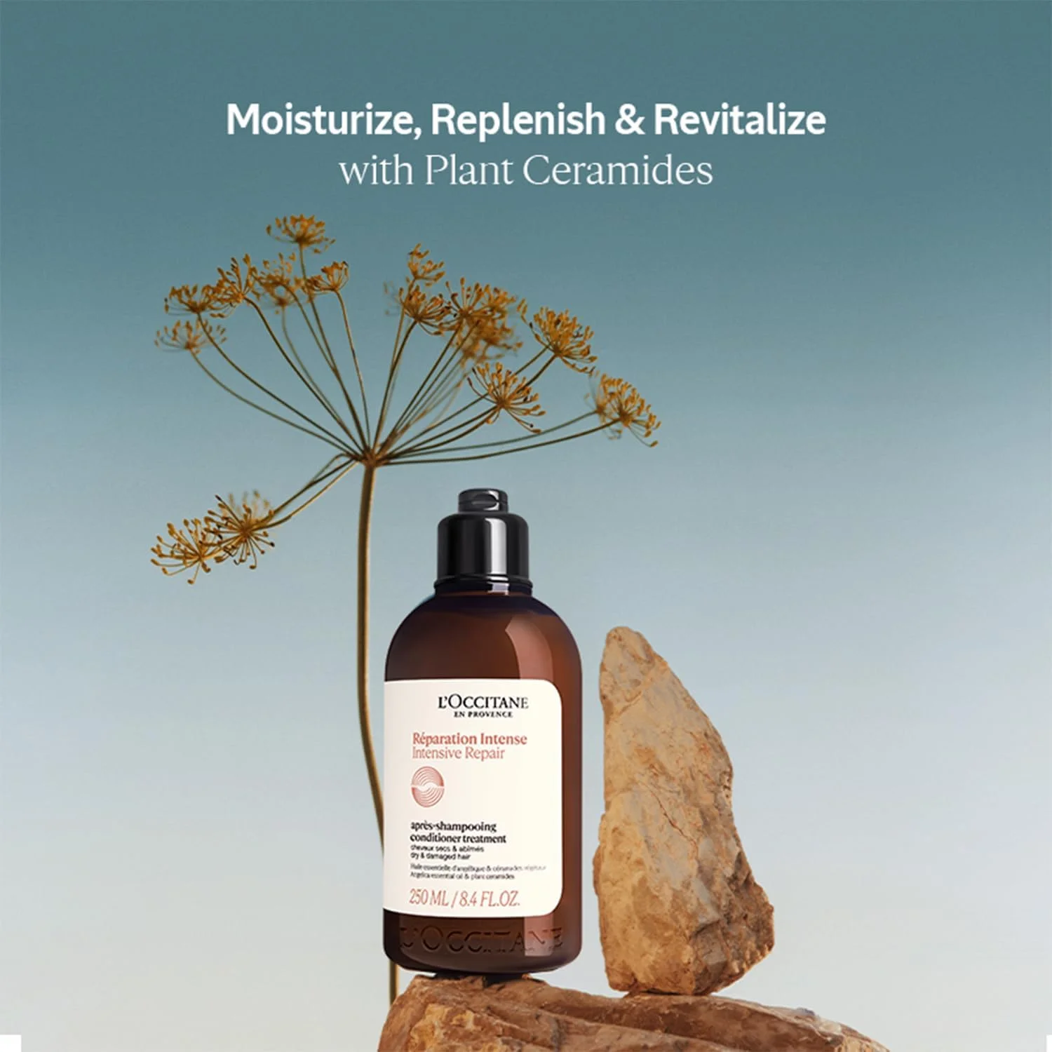 نرم کننده ترمیم کننده مو ل'Occitane مناسب موهای خشک و آسیب دیده، 250 میلی لیتر