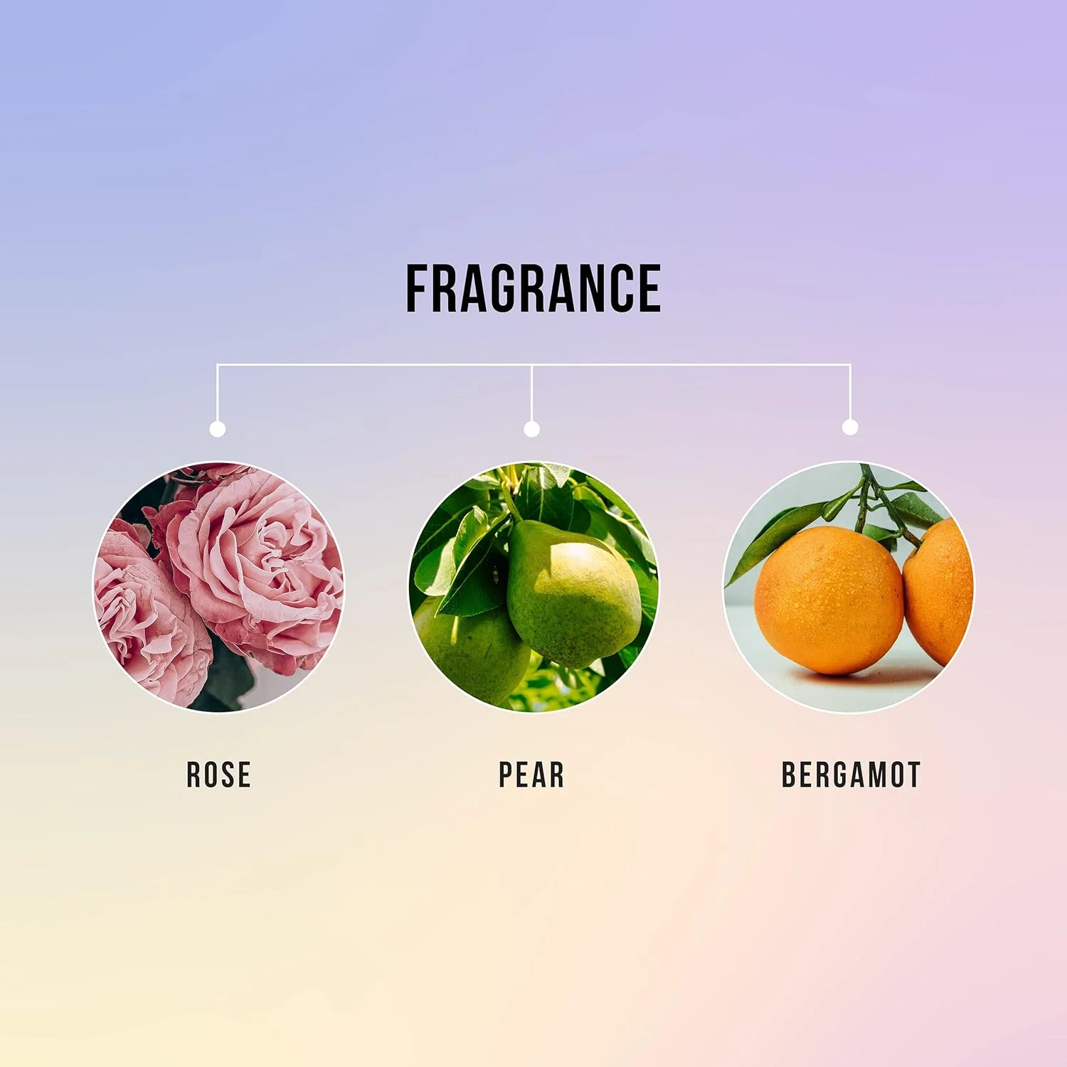 نرم کننده مو بنفش هاسک مخصوص موهای بلوند 355 میلی لیتر