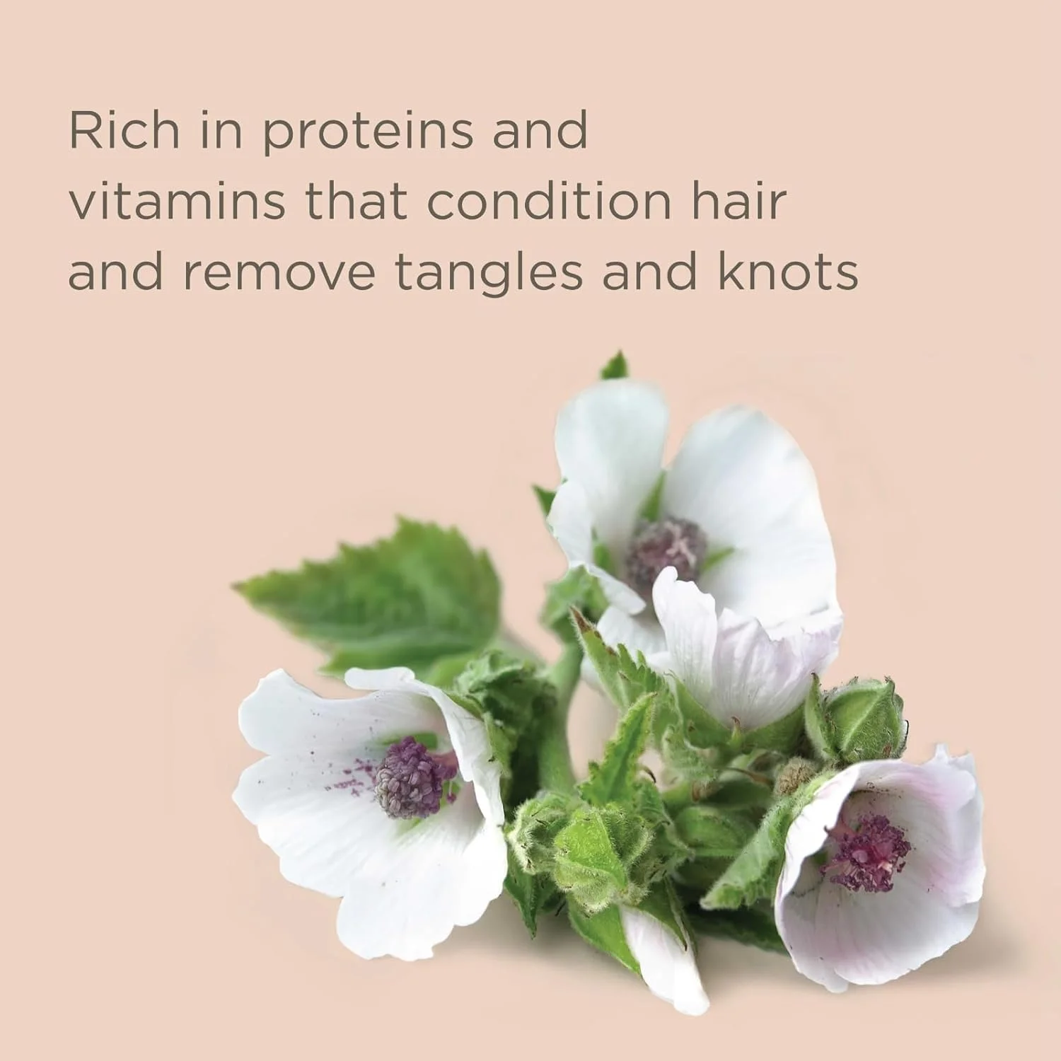 نرم کننده موی عمیق آبرسان هریتج، بدون تست حیوانی و وگان؛ خرید از بالانسد بیوتی با بسته بندی سازگار با محیط زیست!!