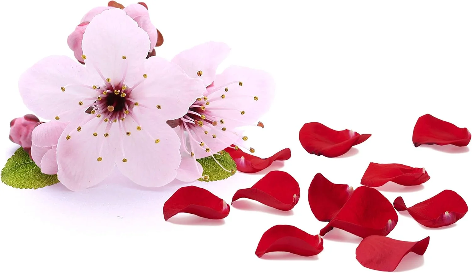 الکسیر احیا کننده و حالت دهنده موی سر جووانی 2 چیک، 118 میلی لیتر