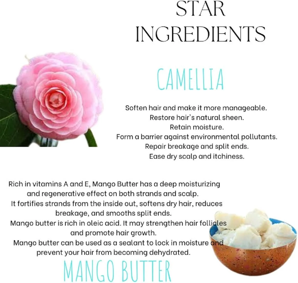 بالم نرم کننده مو EcoBerry حاوی کره انبه و کاملیا، مناسب موهای خشک و وز، نرم کننده و صاف کننده مو، باز کننده گره طبیعی، کاهش شکستگی مو و خشکی پوست سر | محصول 3 در 1