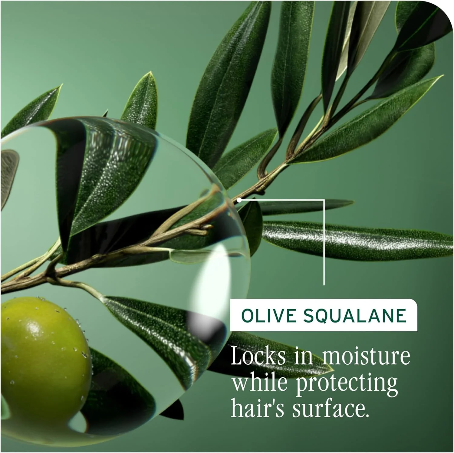 اسپری نرم کننده مو بدون نیاز به آبکشی BIOLAGE Strength Recovery | محافظ حرارتی و باز کننده گره مو | تقویت کننده و جلوگیری از آسیب | برای موهای آسیب دیده و حساس | وگان | بدون تست حیوانی اسپری نرم کننده مو بدون نیاز به آبکشی BIOLAGE Strength Recovery | محافظ حرارتی و باز کننده گره مو | تقویت کننده و جلوگیری از آسیب | برای موهای آسیب دیده و حساس | وگان | بدون تست حیوانی