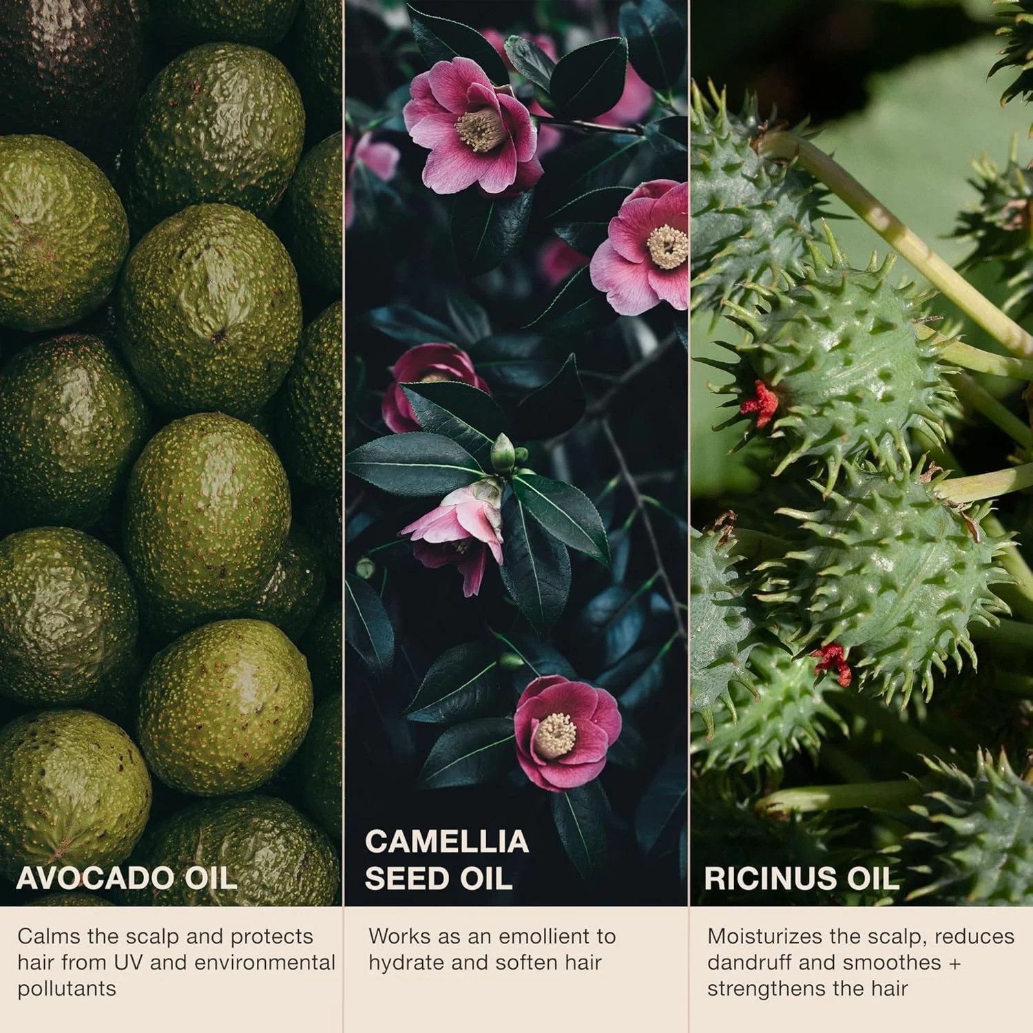 نرم کننده مو ایکو مدل No Frizz No Drama مناسب موهای وز و مجعد، مرطوب کننده موهای خشک، نرم کننده و درخشان کننده مو، وگان، فاقد پارابن، فاقد سیلیکون، سایز مسافرتی - 100 میلی لیتر نرم کننده مو ایکو مدل No Frizz No Drama مناسب موهای وز و مجعد، مرطوب کننده موهای خشک، نرم کننده و درخشان کننده مو، وگان، فاقد پارابن، فاقد سیلیکون، سایز مسافرتی - 100 میلی لیتر