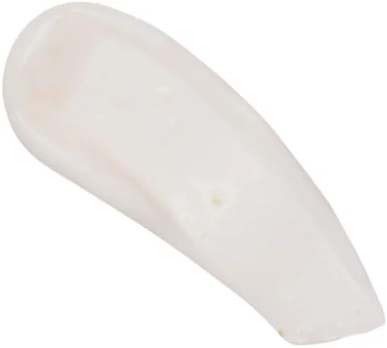 نرم کننده موی روغن مانکتی شارلوت منساح نرم کننده موی روغن مانکتی شارلوت منساح