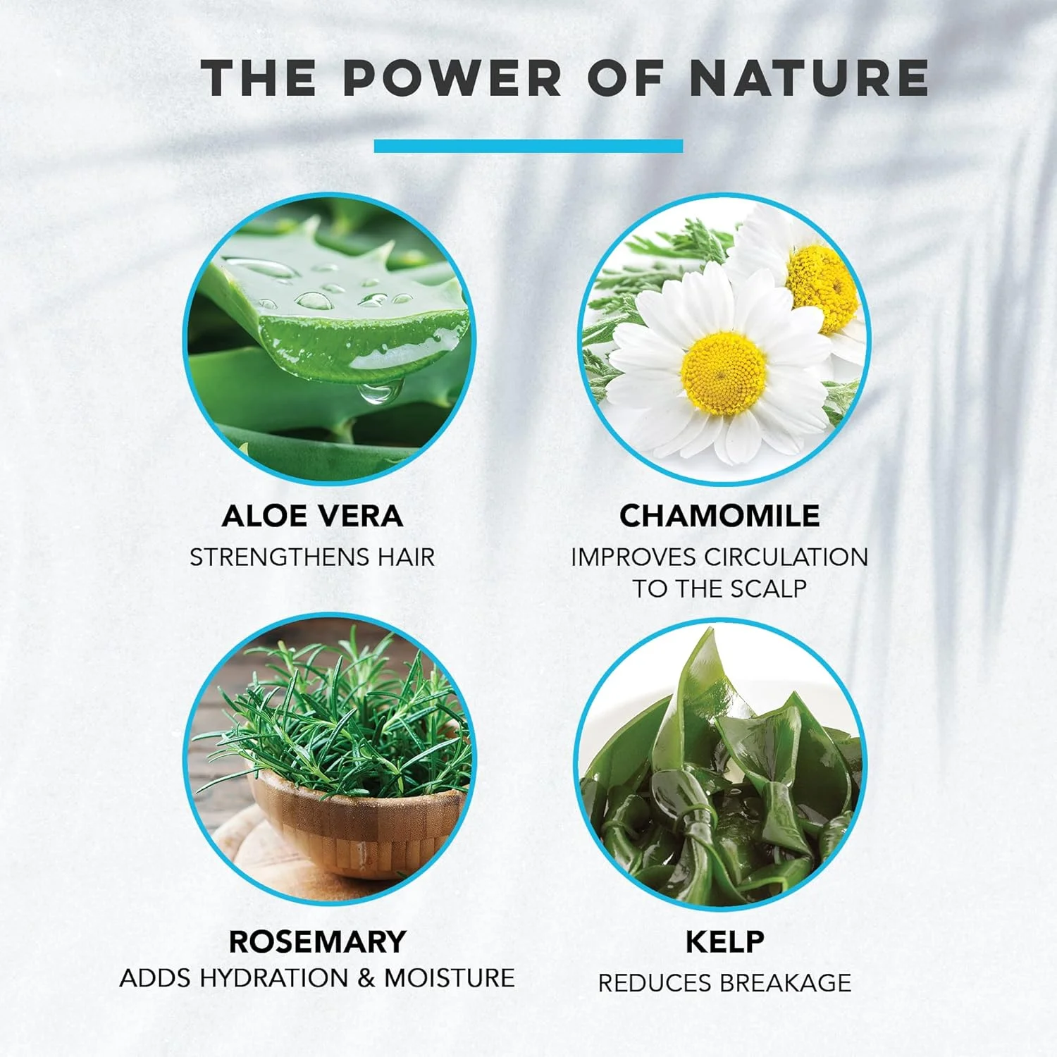 نرم کننده مو روزانه Brocato Splassh: نرم کننده مرطوب کننده با کراتین تقویت کننده و آلوئه ورا، بابونه و رزماری طبیعی - بدون سولفات یا پارابن - برای انواع مو - 946 میلی لیتر نرم کننده مو روزانه Brocato Splassh: نرم کننده مرطوب کننده با کراتین تقویت کننده و آلوئه ورا، بابونه و رزماری طبیعی - بدون سولفات یا پارابن - برای انواع مو - 946 میلی لیتر