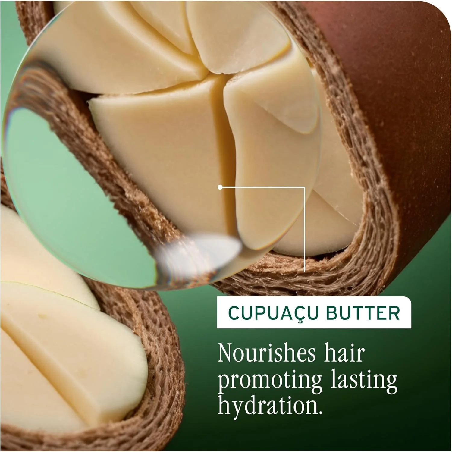 بالم نرم کننده آبرسان فوق العاده Biolage | نرم کننده آبرسان عمیق | احیا کننده رطوبت مو | برای موهای خیلی خشک | بدون سیلیکون | وگان | نرم کننده سالنی | 400 میلی لیتر بالم نرم کننده آبرسان فوق العاده Biolage | نرم کننده آبرسان عمیق | احیا کننده رطوبت مو | برای موهای خیلی خشک | بدون سیلیکون | وگان | نرم کننده سالنی | 400 میلی لیتر