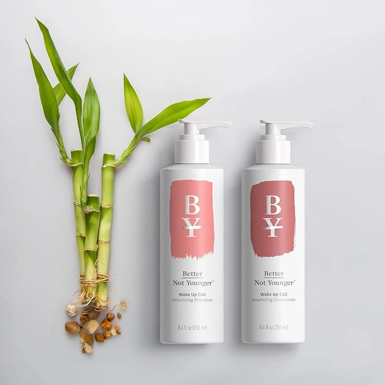 نرم کننده ترمیم کننده موهای خشک و آسیب دیده Better Not Younger Second Chance، حجم 250 میلی لیتر نرم کننده ترمیم کننده موهای خشک و آسیب دیده Better Not Younger Second Chance، حجم 250 میلی لیتر