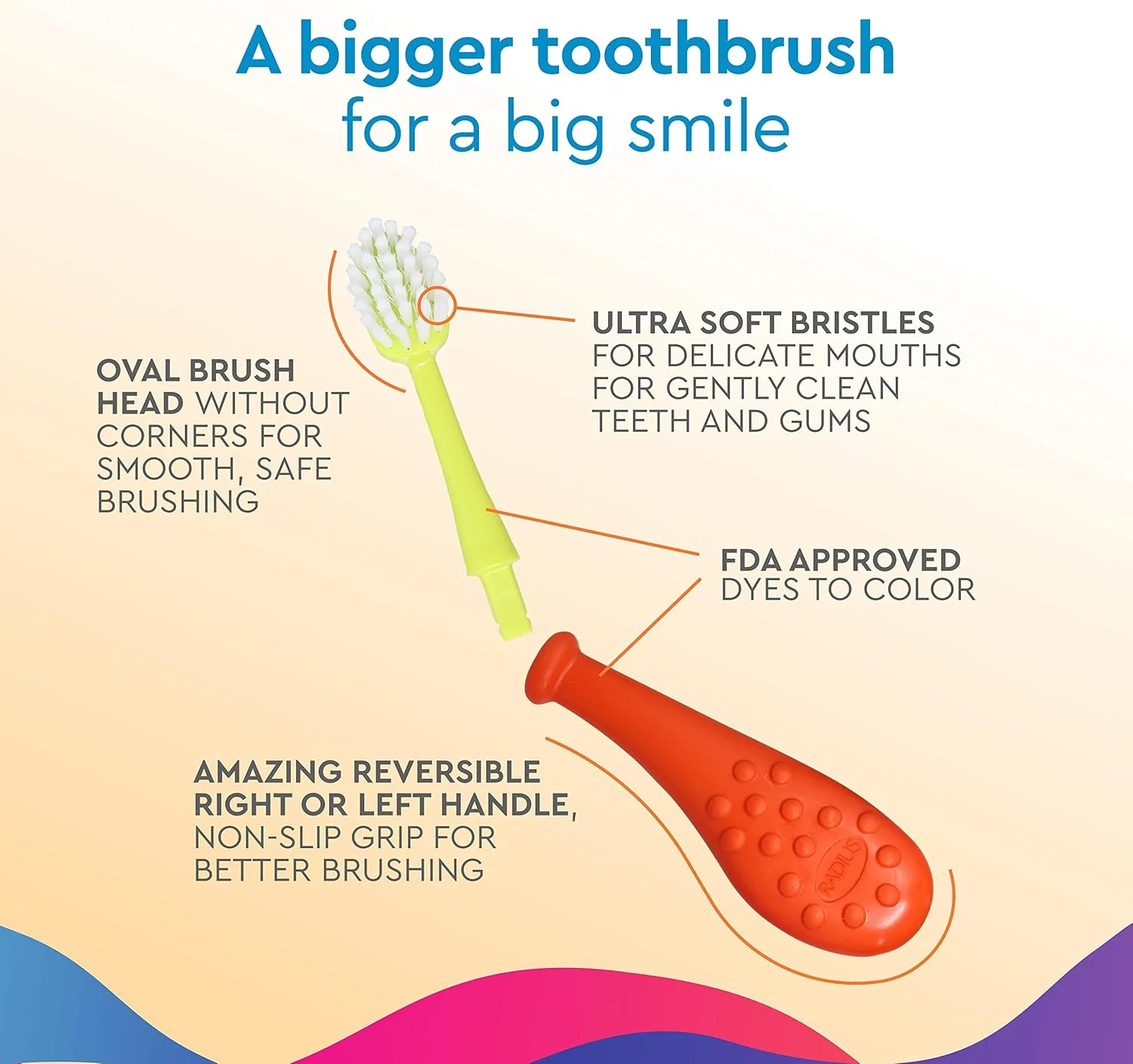 مسواک کودکانه بزرگسال RADIUS با سر قابل تعویض، مناسب کودکان 6 سال به بالا، فاقد BPA و مورد تایید ADA برای دندان ها و لثه های در حال رشد - مناسب دست راست و چپ، بسیار نرم مسواک کودکانه بزرگسال RADIUS با سر قابل تعویض، مناسب کودکان 6 سال به بالا، فاقد BPA و مورد تایید ADA برای دندان ها و لثه های در حال رشد - مناسب دست راست و چپ، بسیار نرم