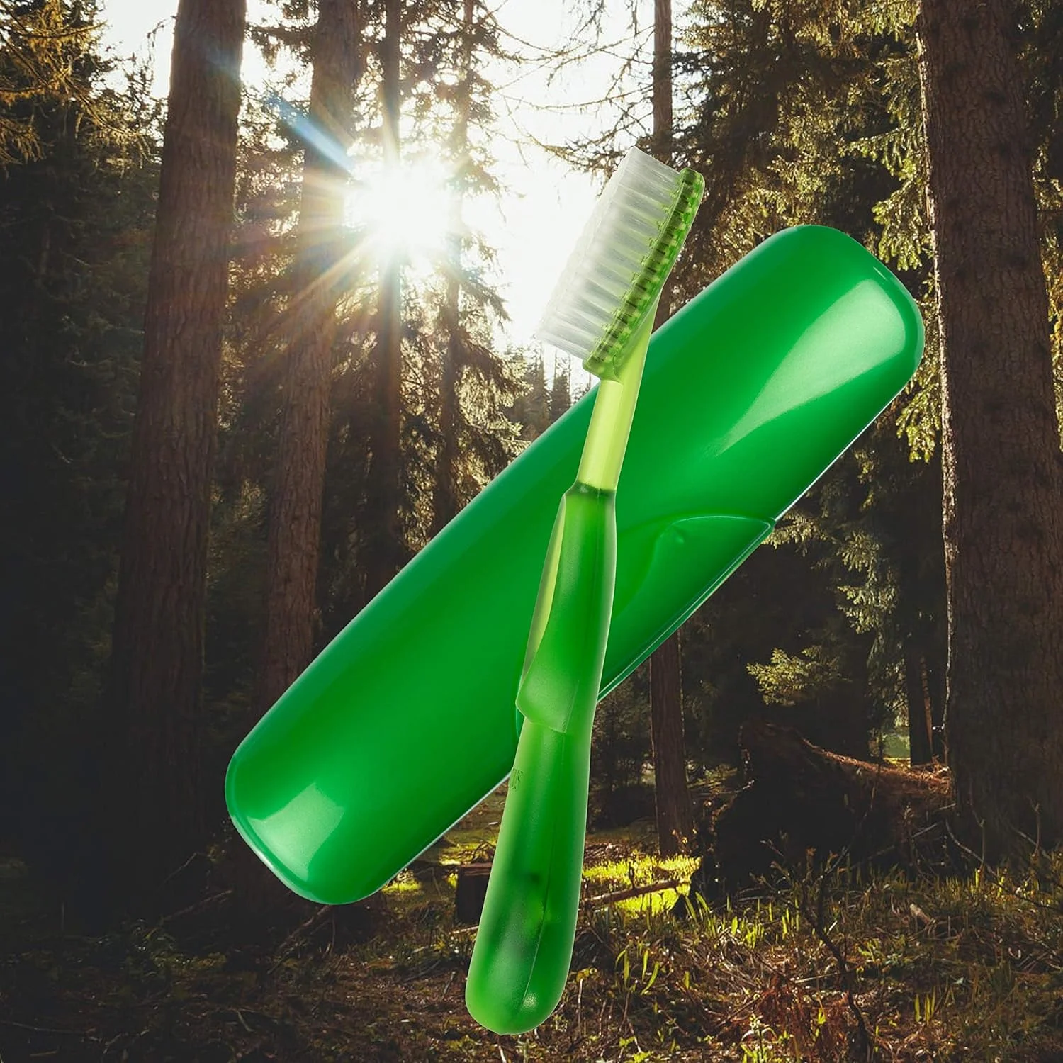 مسواک بزرگ اورجینال RADIUS، فاقد BPA و مورد تایید ADA - دست راست - برس سبز با جعبه سبز مسواک بزرگ اورجینال RADIUS، فاقد BPA و مورد تایید ADA - دست راست - برس سبز با جعبه سبز