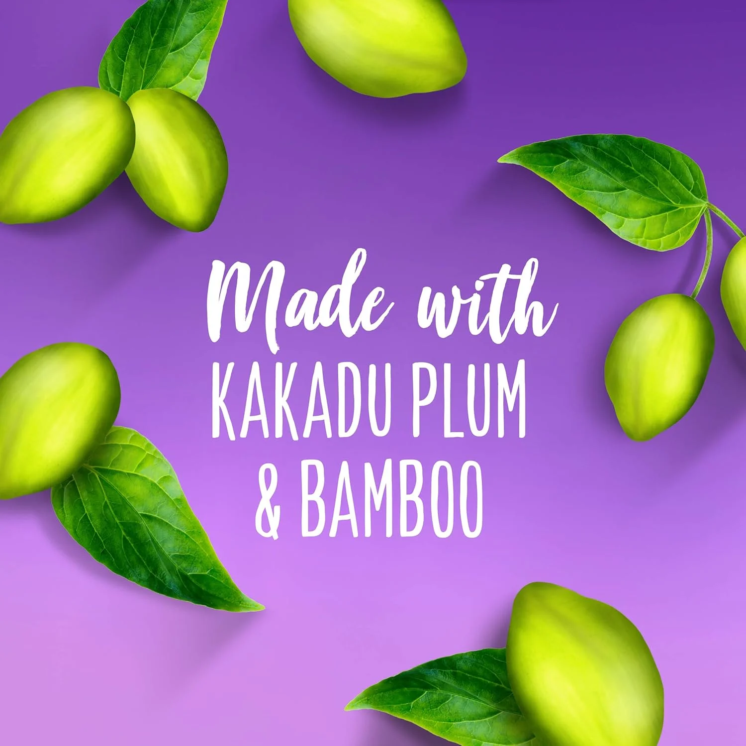 نرم کننده حجم دهنده موهای نازک Aussie Miracle بدون پارابن، آلو و بامبو، 360 میلی لیتر (بسته 6 عددی) نرم کننده حجم دهنده موهای نازک Aussie Miracle بدون پارابن، آلو و بامبو، 360 میلی لیتر (بسته 6 عددی)