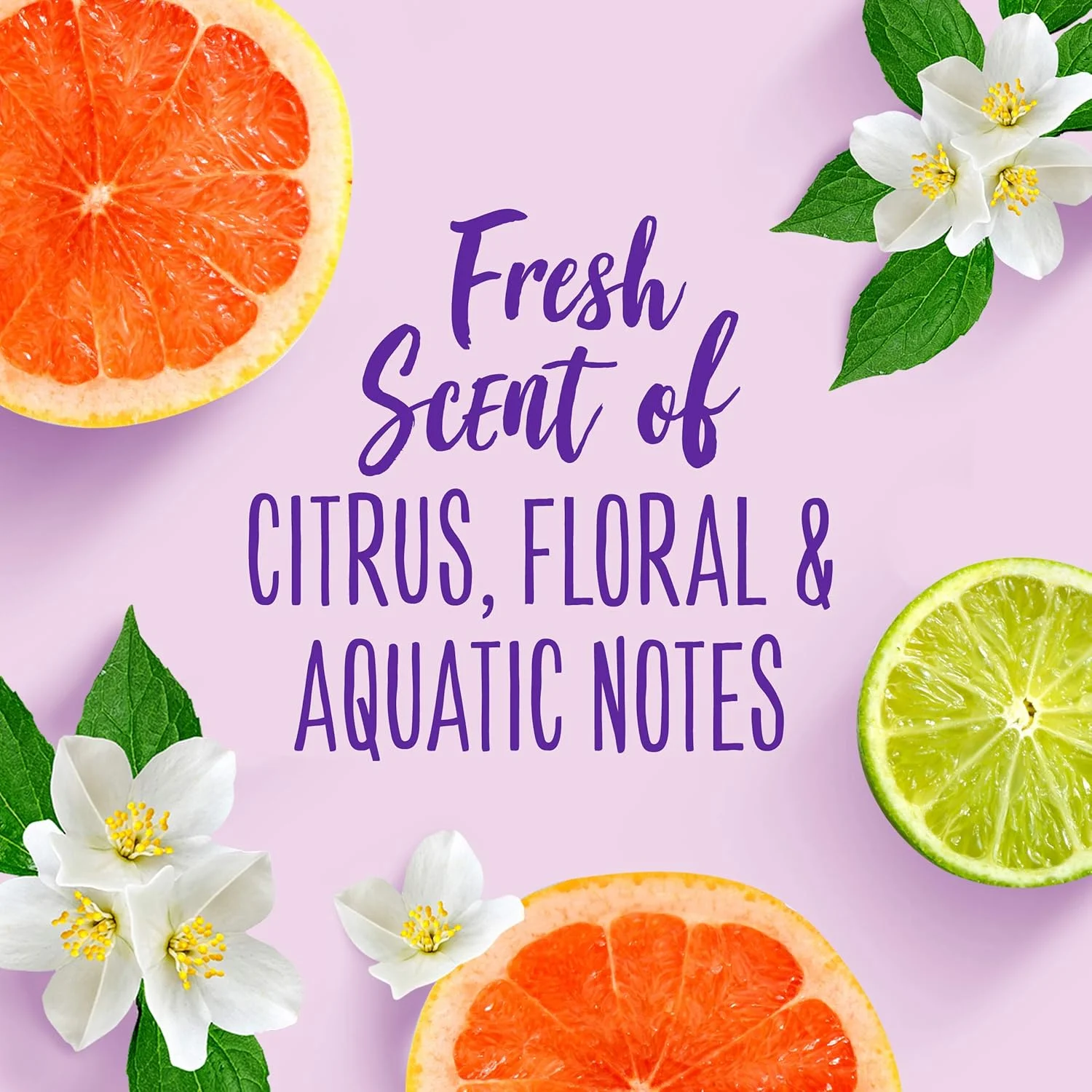 نرم کننده حجم دهنده موهای نازک Aussie Miracle بدون پارابن، آلو و بامبو، 360 میلی لیتر (بسته 6 عددی) نرم کننده حجم دهنده موهای نازک Aussie Miracle بدون پارابن، آلو و بامبو، 360 میلی لیتر (بسته 6 عددی)