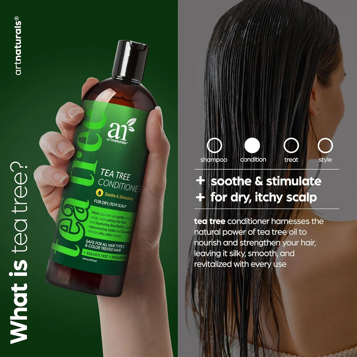 نرم کننده درخت چای آرت نچرالز 473 میلی لیتر - بدون سولفات - ساخته شده با روغن ضروری درخت چای طبیعی و خالص - برای شوره سر، پوست سر حساس، خارش دار و خشک - برای آقایان و بانوان نرم کننده درخت چای آرت نچرالز 473 میلی لیتر - بدون سولفات - ساخته شده با روغن ضروری درخت چای طبیعی و خالص - برای شوره سر، پوست سر حساس، خارش دار و خشک - برای آقایان و بانوان
