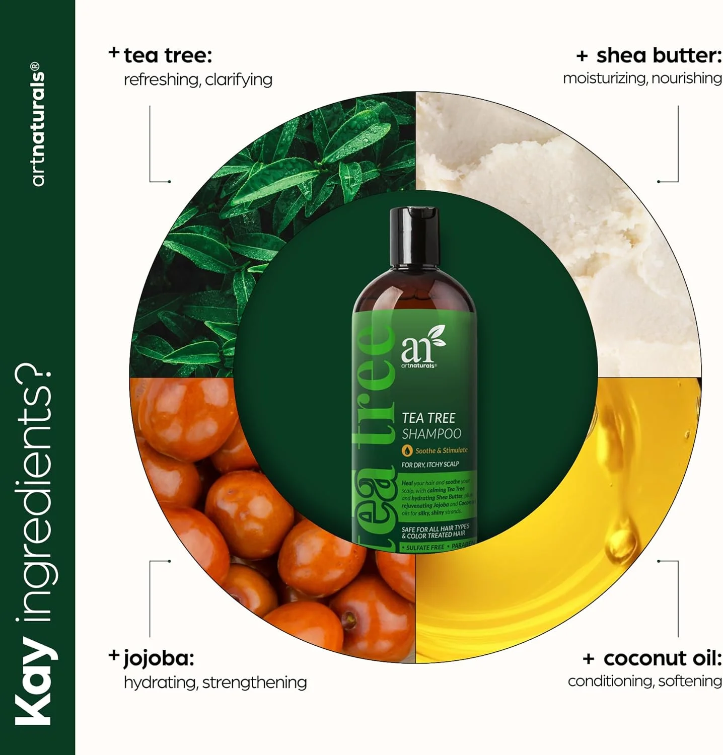نرم کننده درخت چای آرت نچرالز 473 میلی لیتر - بدون سولفات - ساخته شده با روغن ضروری درخت چای طبیعی و خالص - برای شوره سر، پوست سر حساس، خارش دار و خشک - برای آقایان و بانوان نرم کننده درخت چای آرت نچرالز 473 میلی لیتر - بدون سولفات - ساخته شده با روغن ضروری درخت چای طبیعی و خالص - برای شوره سر، پوست سر حساس، خارش دار و خشک - برای آقایان و بانوان
