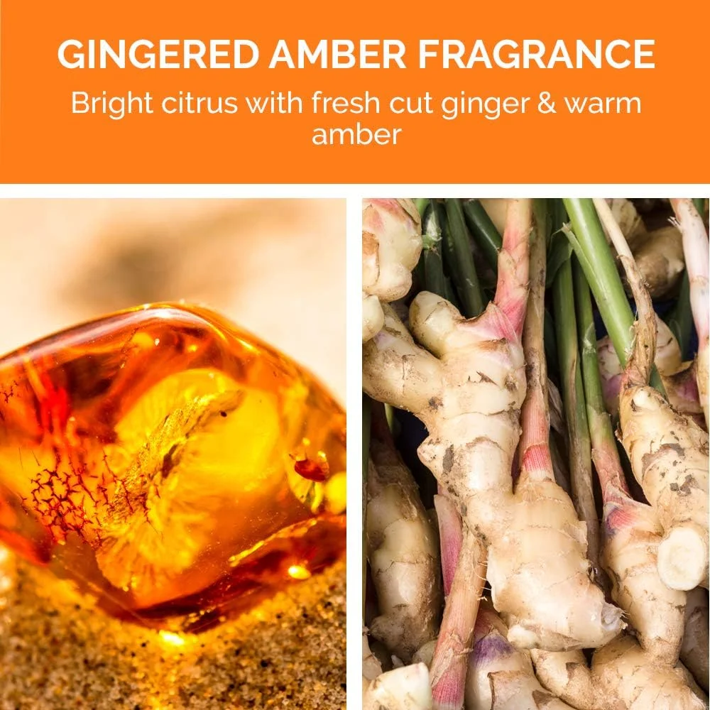 شامپو فوق العاده مرطوب کننده کالرپروف ایوالود کالر کر، 250 میلی لیتر شامپو فوق العاده مرطوب کننده کالرپروف ایوالود کالر کر، 250 میلی لیتر