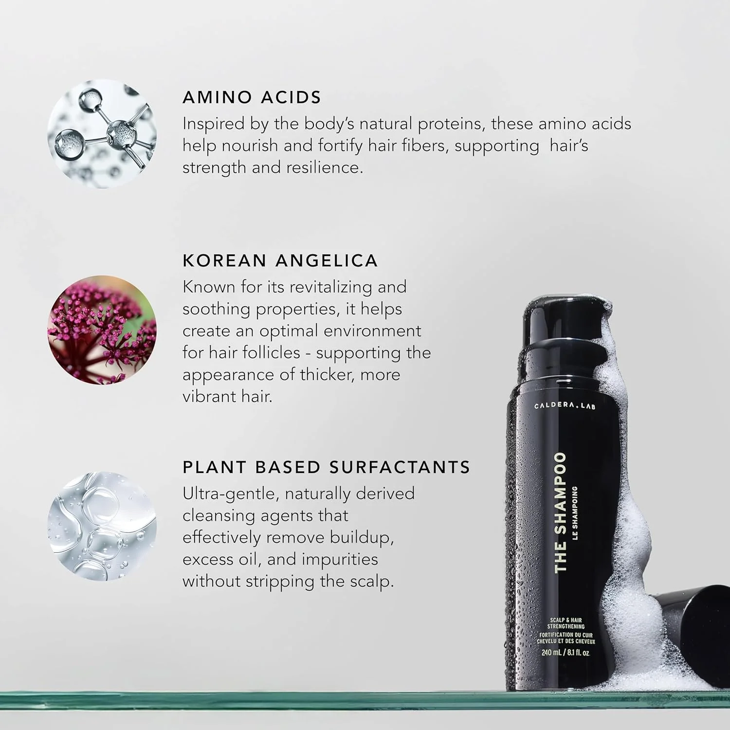 شامپو مردانه کالدرا + لب | شامپو مردانه برای موهای سالم، پاک کننده روزانه بدون سولفات، تست شده توسط متخصص پوست - مناسب برای انواع مو شامپو مردانه کالدرا + لب | شامپو مردانه برای موهای سالم، پاک کننده روزانه بدون سولفات، تست شده توسط متخصص پوست - مناسب برای انواع مو