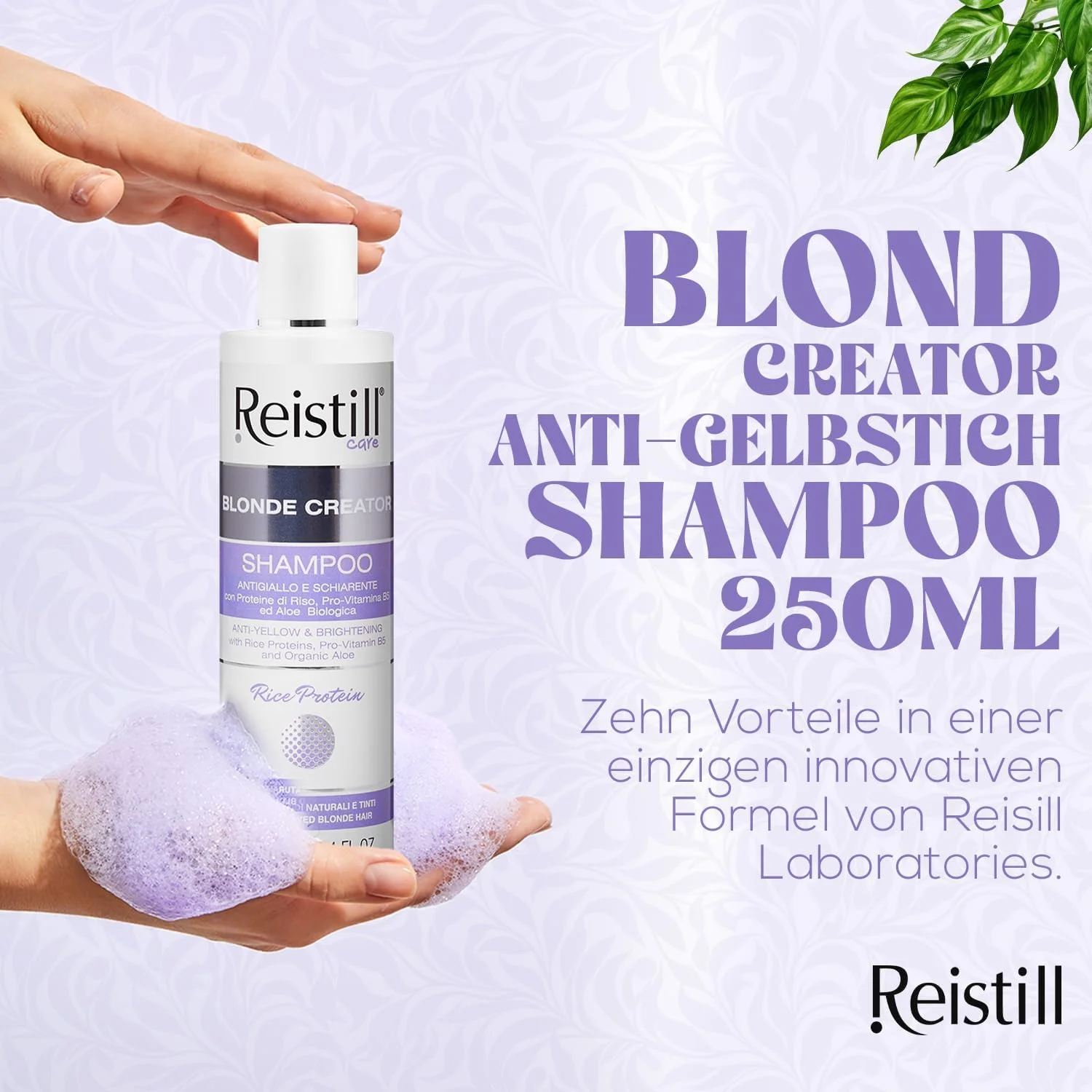 شامپو ضد زردی Restill Blond Creator - شامپو طراوت بخش رنگ مو، ضد زردی برای موهای دکلره شده، بلوند طبیعی و خاکستری - شامپو مو با بتاکاروتن، ویتامین C و E - 250 میلی لیتر