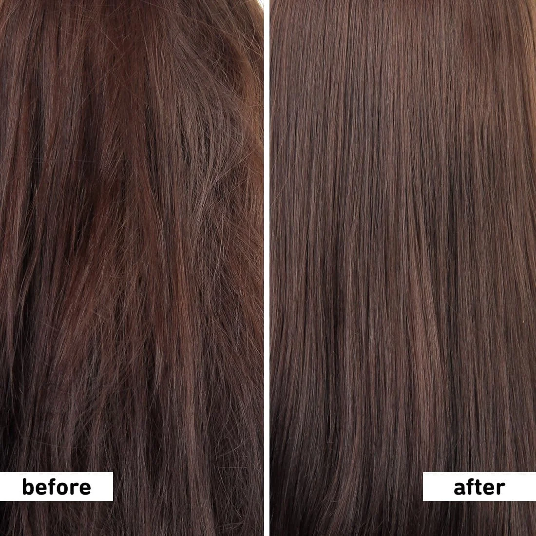 شامپو نارگیل آلو برای موهای کدر با شیر نارگیل و پپتیدها برای موهای قوی و درخشان | افزایش 22 برابری درخشندگی | موهای نرم و ابریشمی | شامپو برای زنان و مردان | 250 میلی لیتر