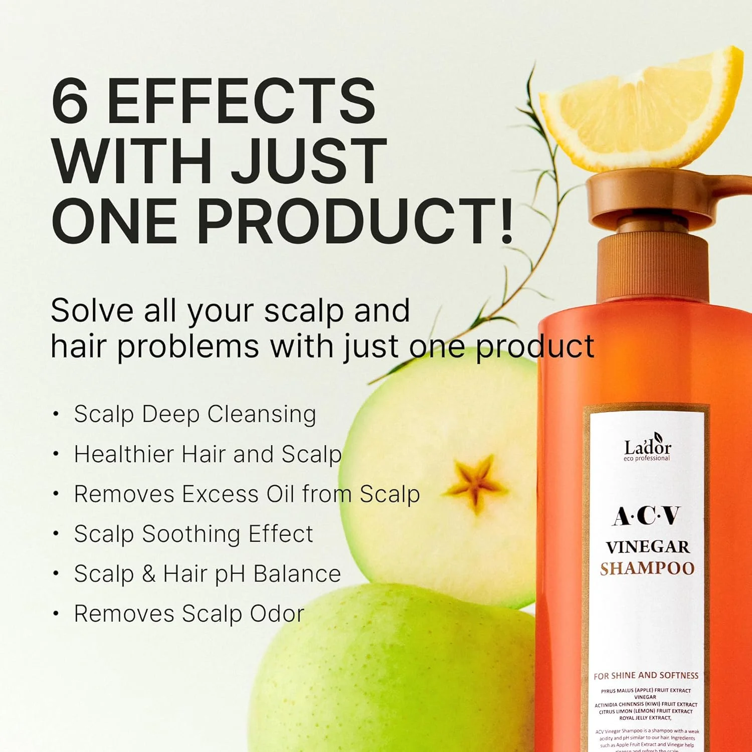 شامپو سرکه سیب شفاف کننده مو LA'DOR با درخت چای، متعادل کننده pH زیر اسیدی - درخشش براق و طراوت بخش برای شوره سر چرب و پوست سر چرب، فاقد سیلیکون، پارابن و سولفات، 430 میلی لیتر، محصول کره ای LADOR