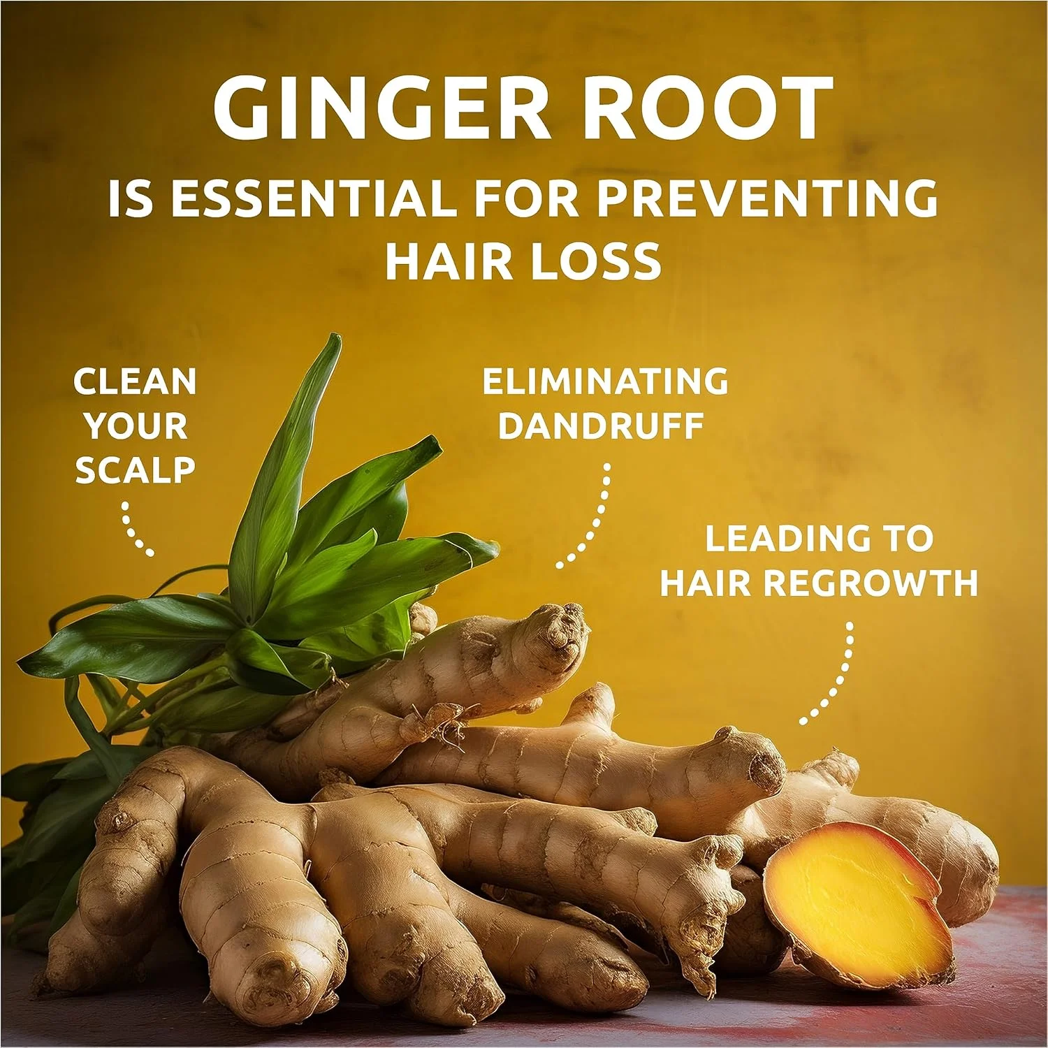 شامپو بار جامد زنجبیل ارگانیک برای رشد مجدد مو | ریشه زنجبیل، روغن کاملینا، زردچوبه، علف لیمو | شامپو ضد ریزش مو، ضد شوره و ضد خارش | ساخت آمریکا (1 بسته) شامپو بار جامد زنجبیل ارگانیک برای رشد مجدد مو | ریشه زنجبیل، روغن کاملینا، زردچوبه، علف لیمو | شامپو ضد ریزش مو، ضد شوره و ضد خارش | ساخت آمریکا (1 بسته)