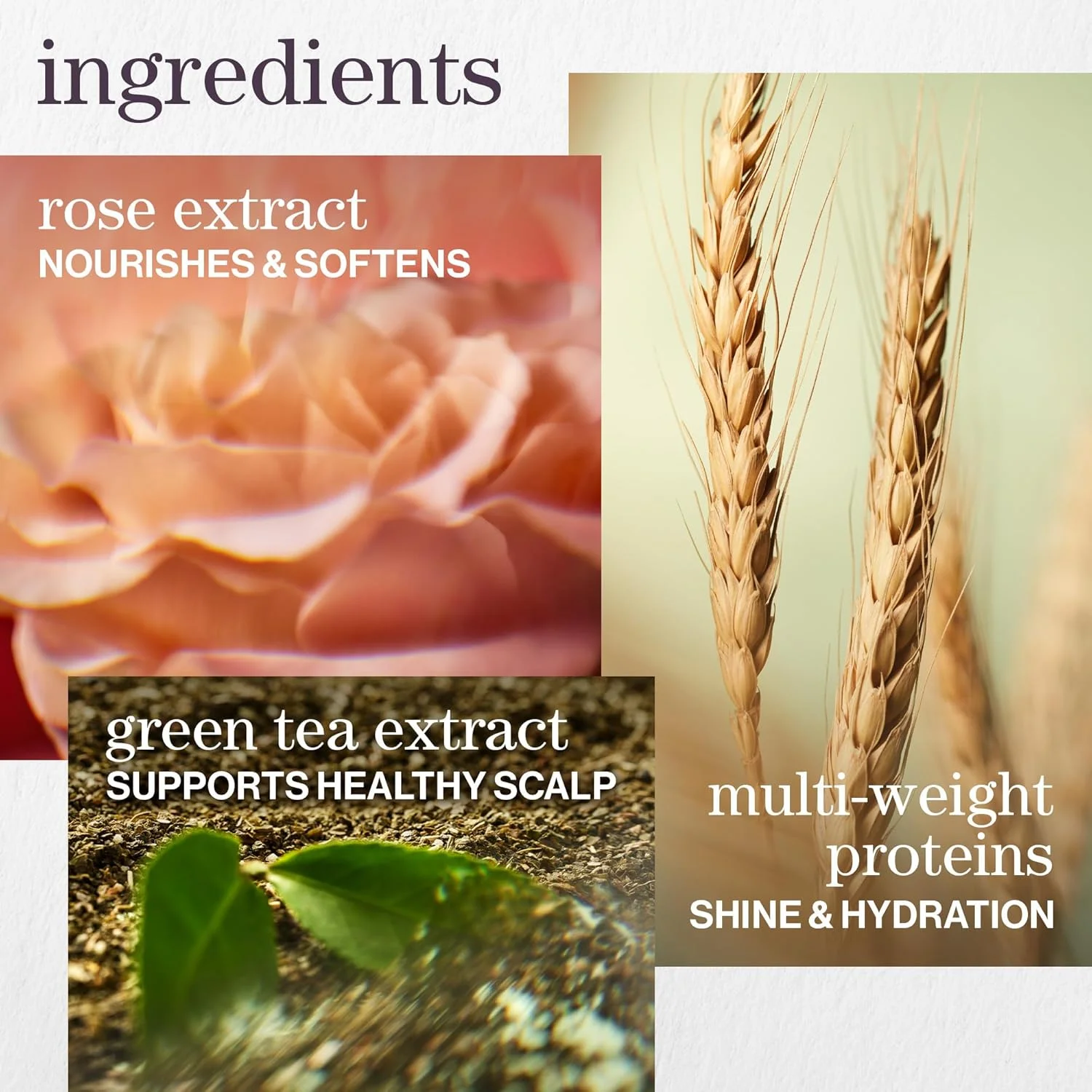 شامپو آبرسان Pureology Hydrate، برای موهای خشک متوسط تا ضخیم و رنگ شده، فرمولاسیون وگان، بدون سولفات برای پاکسازی ملایم 266 میلی لیتر شامپو آبرسان Pureology Hydrate، برای موهای خشک متوسط تا ضخیم و رنگ شده، فرمولاسیون وگان، بدون سولفات برای پاکسازی ملایم 266 میلی لیتر