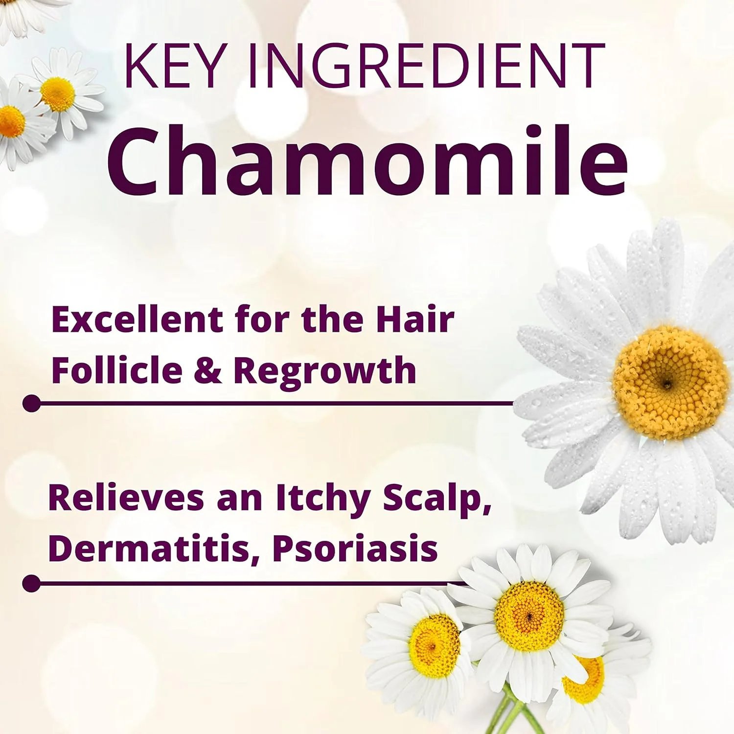 شامپو حرفه ای بابونه فریشیا مناسب موهای رنگ شده، ضد شوره | تغذیه کننده | شامپو و نرم کننده | درخشان کننده | صاف کننده | ظاهری بدون گره خوردگی | مناسب برای خانم ها و آقایان | 300 میلی لیتر