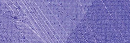 ورنی ساتن مدیوم اکریلیک گالریا وینزور اند نیوتن، 250 میلی لیتر