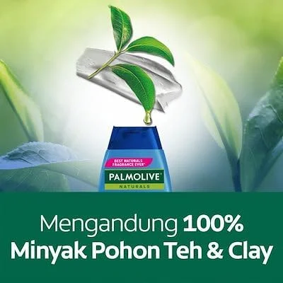 شامپو و نرم کننده ضد شوره سر پالمولیو نچرالز حاوی عصاره درخت چای و اکالیپتوس 180 میلی لیتر شامپو و نرم کننده ضد شوره سر پالمولیو نچرالز حاوی عصاره درخت چای و اکالیپتوس 180 میلی لیتر