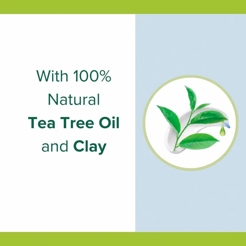 شامپو و نرم کننده ضد شوره سر پالمولیو نچرالز حاوی عصاره درخت چای و اکالیپتوس 180 میلی لیتر شامپو و نرم کننده ضد شوره سر پالمولیو نچرالز حاوی عصاره درخت چای و اکالیپتوس 180 میلی لیتر