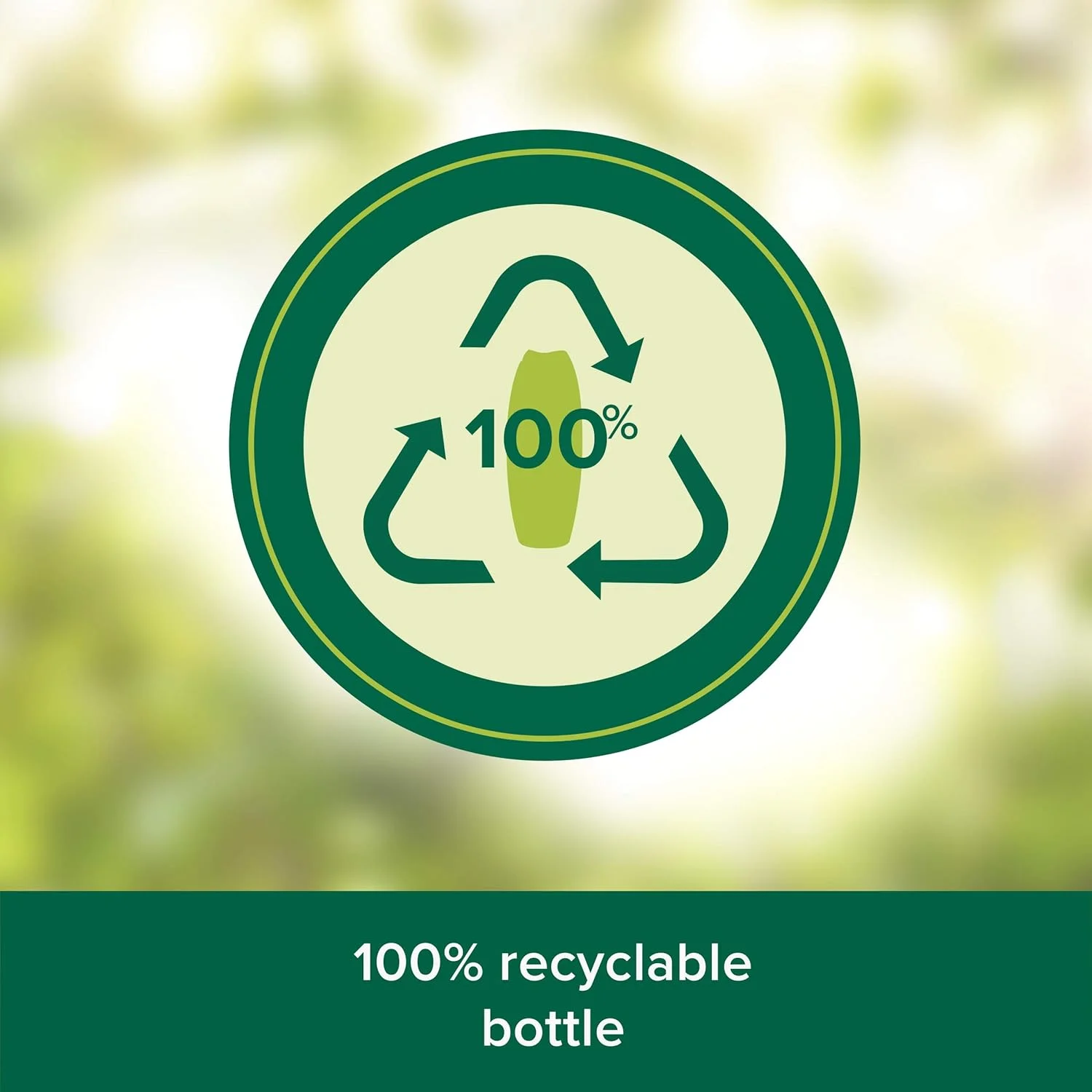 شامپو ضد شوره و ضد ریزش مو مردانه پالمولیو برای موهای آسیب دیده، مواد تشکیل دهنده 100% طبیعی، شامپو نعناع، 380 میلی لیتر شامپو ضد شوره و ضد ریزش مو مردانه پالمولیو برای موهای آسیب دیده، مواد تشکیل دهنده 100% طبیعی، شامپو نعناع، 380 میلی لیتر