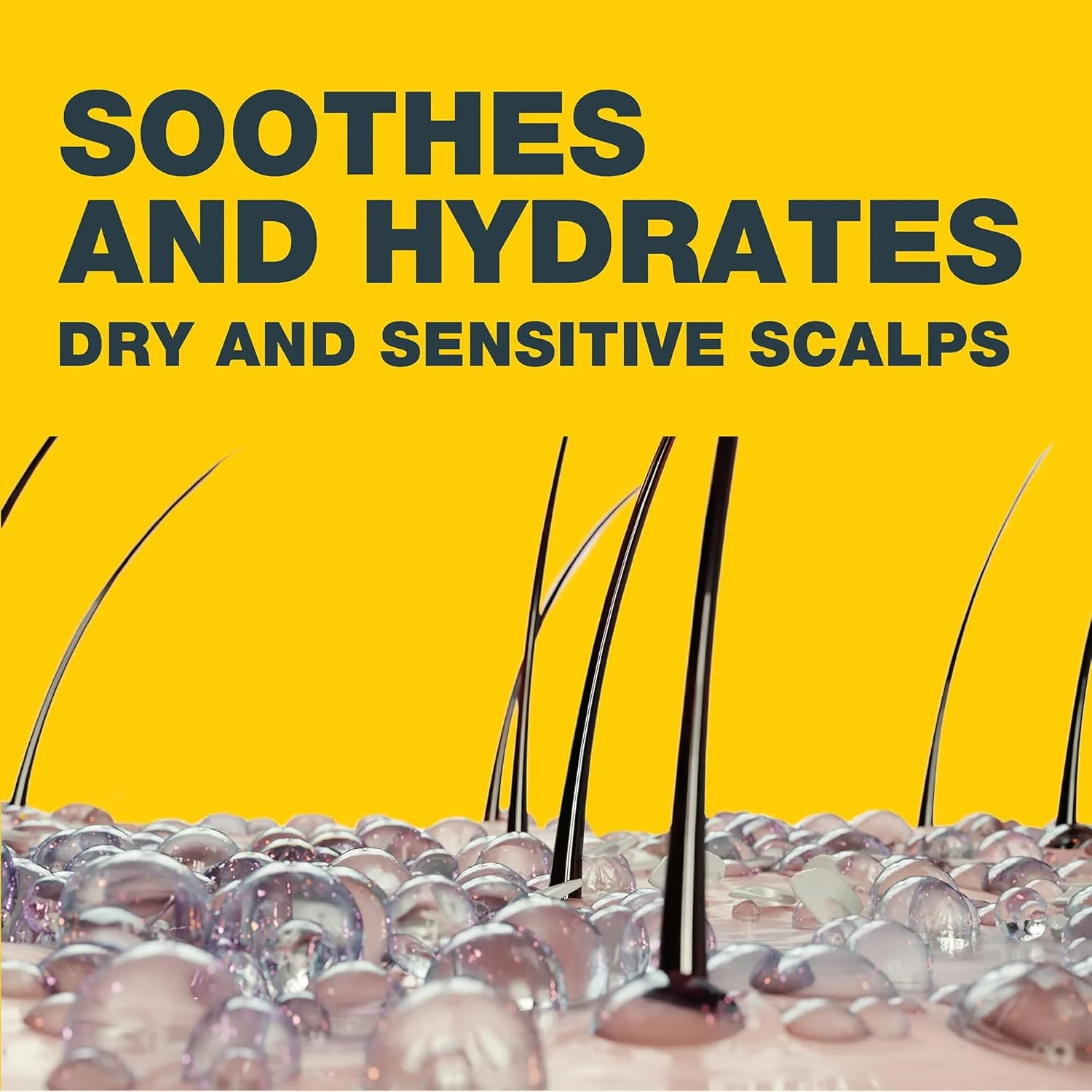 شامپو ضد شوره سر خشک و حساس Nizoral® Care، 200 میلی لیتر، آبرسانی تسکین دهنده با Postbiotics و آلوئه ورا، مناسب پوست مستعد اگزما شامپو ضد شوره سر خشک و حساس Nizoral® Care، 200 میلی لیتر، آبرسانی تسکین دهنده با Postbiotics و آلوئه ورا، مناسب پوست مستعد اگزما