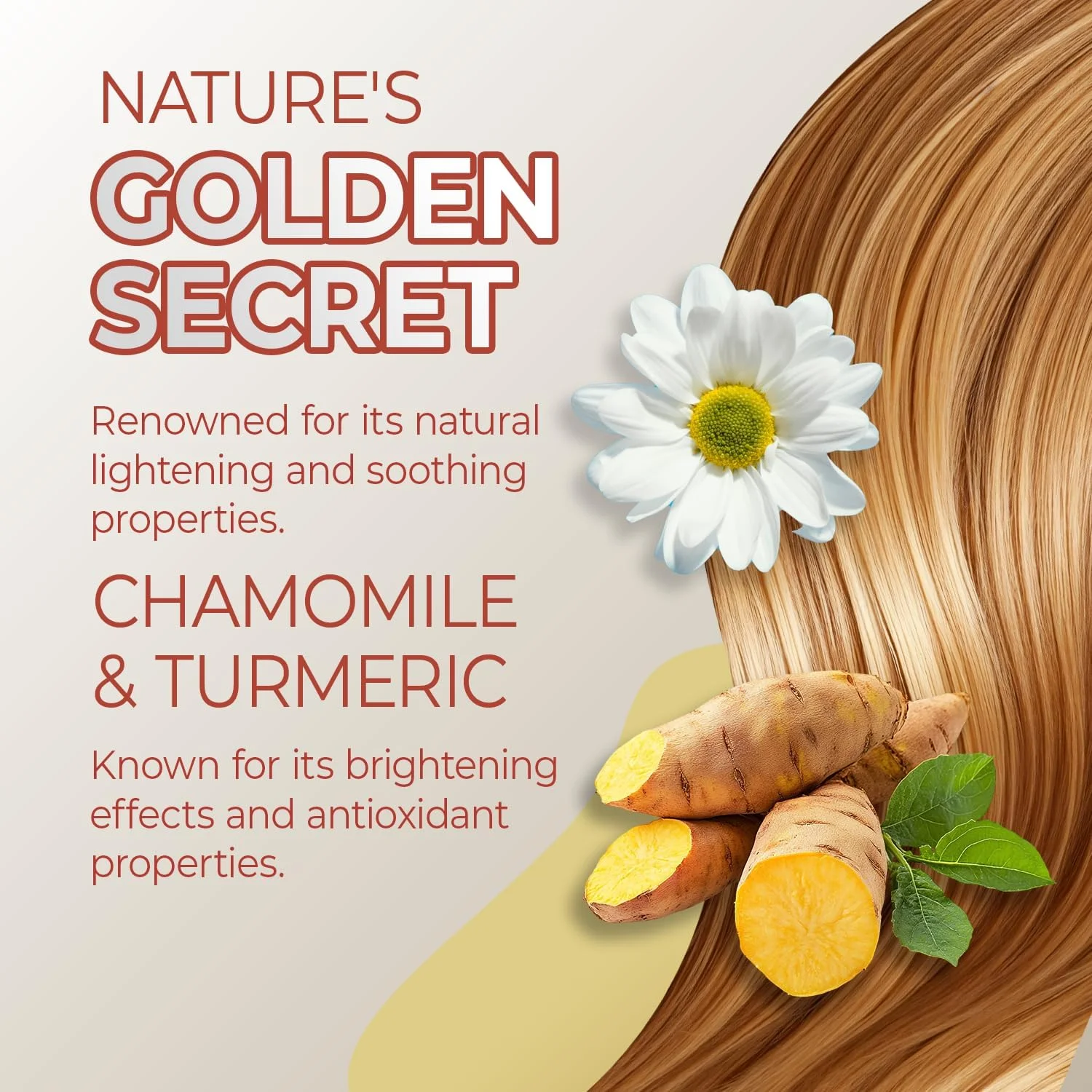 شامپو روشن کننده فوق العاده ملایم Manzanilla Grisi Gold، پاک کننده و روشن کننده فوق العاده با عصاره بابونه و زردچوبه، موها را به طور طبیعی نرم و درخشان می کند، بسته 2 عددی، بطری 399 میلی لیتری، 2 عدد شامپو روشن کننده فوق العاده ملایم Manzanilla Grisi Gold، پاک کننده و روشن کننده فوق العاده با عصاره بابونه و زردچوبه، موها را به طور طبیعی نرم و درخشان می کند، بسته 2 عددی، بطری 399 میلی لیتری، 2 عدد