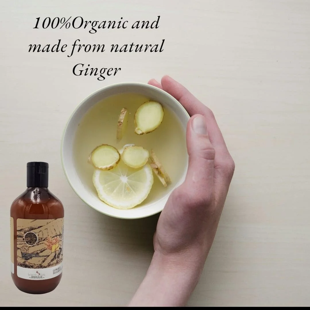 شامپو زنجبیل Loyal Star، ۵۶۰ میلی لیتر، ۱۰۰٪ ارگانیک، ساخته شده از زنجبیل خالص