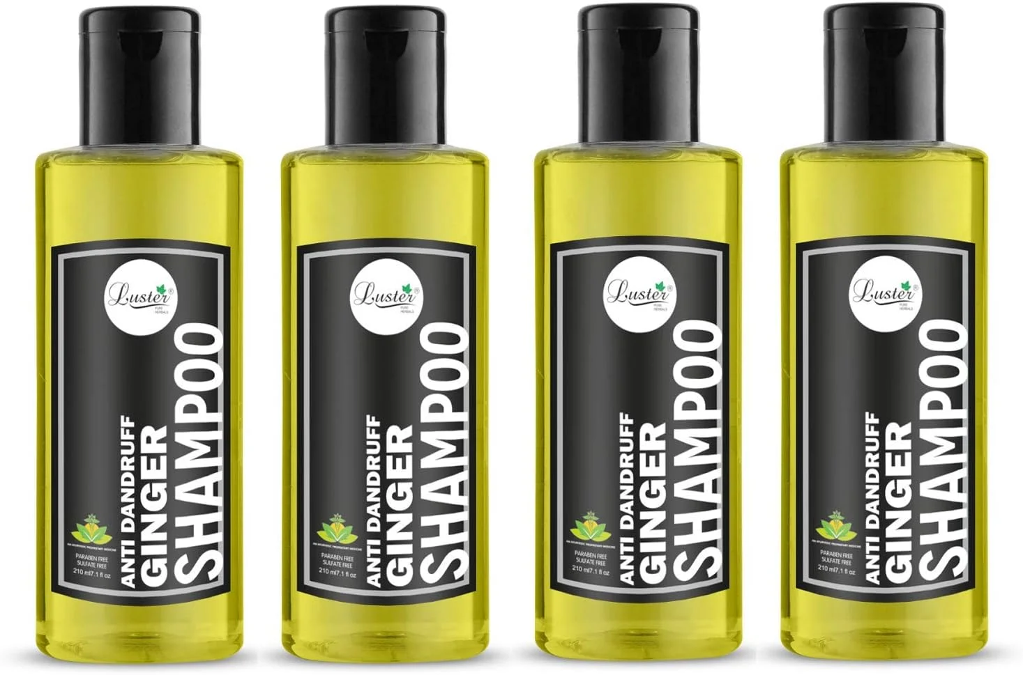 شامپو زنجبیل Luster (ضد شوره سر) | غنی شده با عصاره های زنجبیل خالص | درمان کنترل شوره سر و ریزش مو | شامپو برای زنان و مردان (بدون پارابن و سولفات) - بسته 4 عددی - 210 میلی لیتر شامپو زنجبیل Luster (ضد شوره سر) | غنی شده با عصاره های زنجبیل خالص | درمان کنترل شوره سر و ریزش مو | شامپو برای زنان و مردان (بدون پارابن و سولفات) - بسته 4 عددی - 210 میلی لیتر