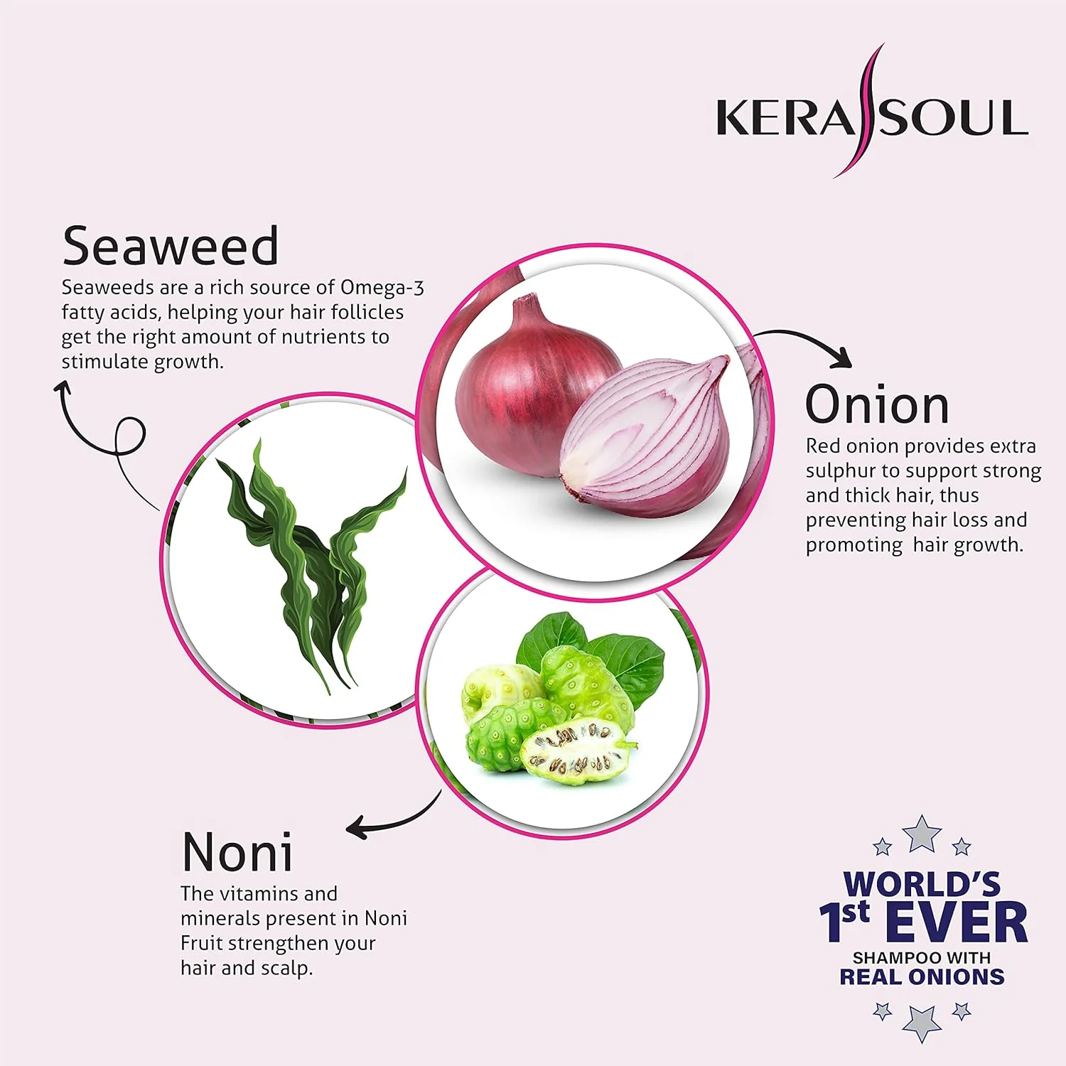 شامپو ضد شوره سر پیاز Kerasoul برای رشد مو، کنترل ریزش، تغذیه و نرم کننده غنی شده با جلبک دریایی و میوه نونی برای آقایان و خانم ها با مزایای ضد ریزش مو (200 میلی لیتر)